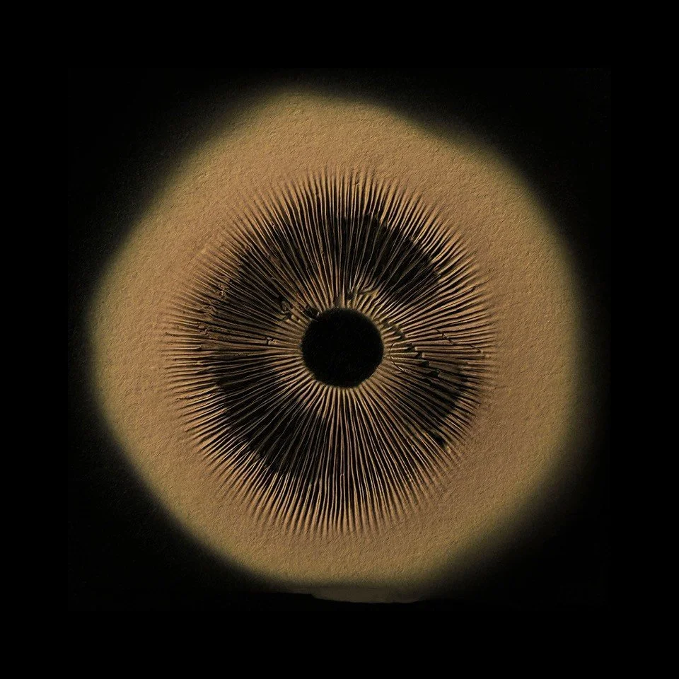 alt,untitled I,25x25.jpg
