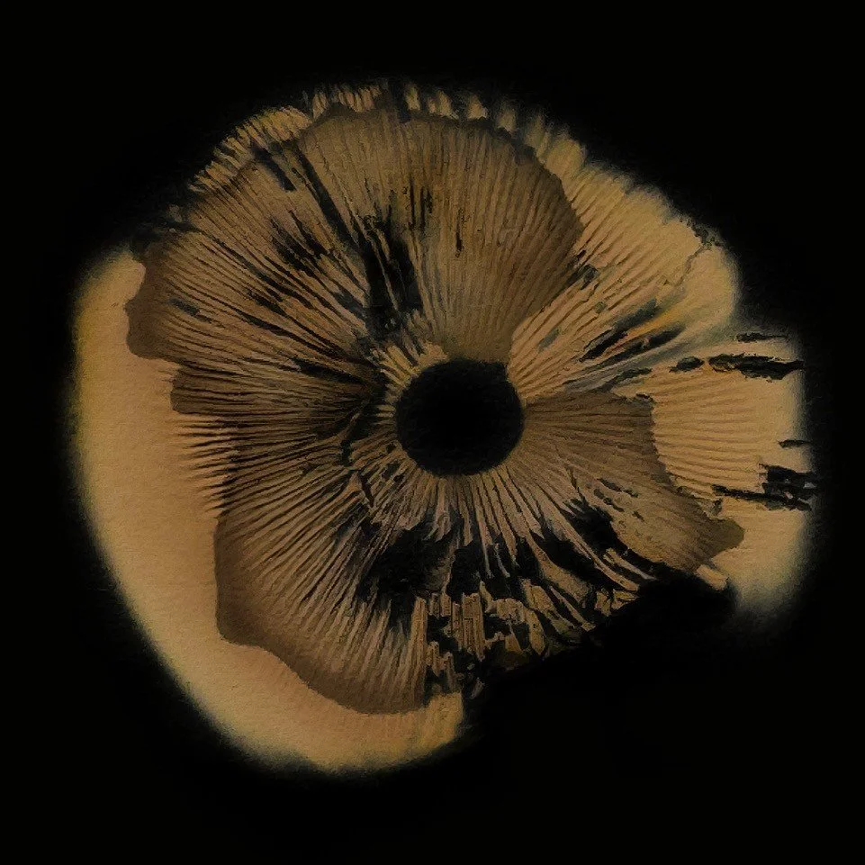 alt,untitled II,25x25.jpg