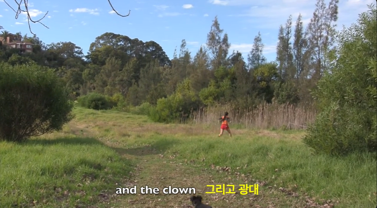  Hana Hoogedeure 하나 후게듀  Wishing(you)Well, 2020  위싱 유 웰, 2020  Video, written in collaboration with Hyerim Suh, translated from English to Korean by Yoonjung Kim, 6:29 minutes 