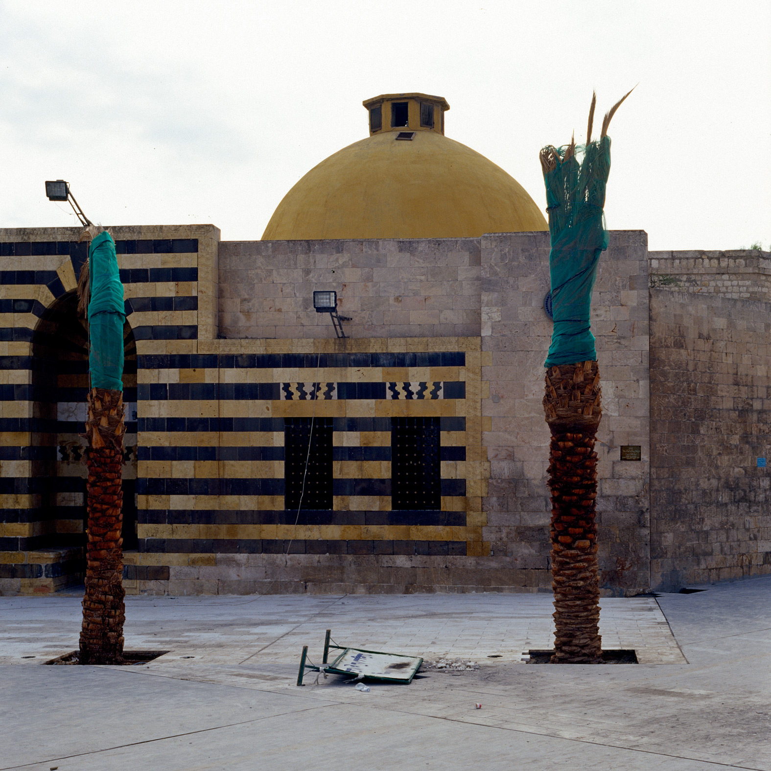WRAPPED-PALMS02.jpg