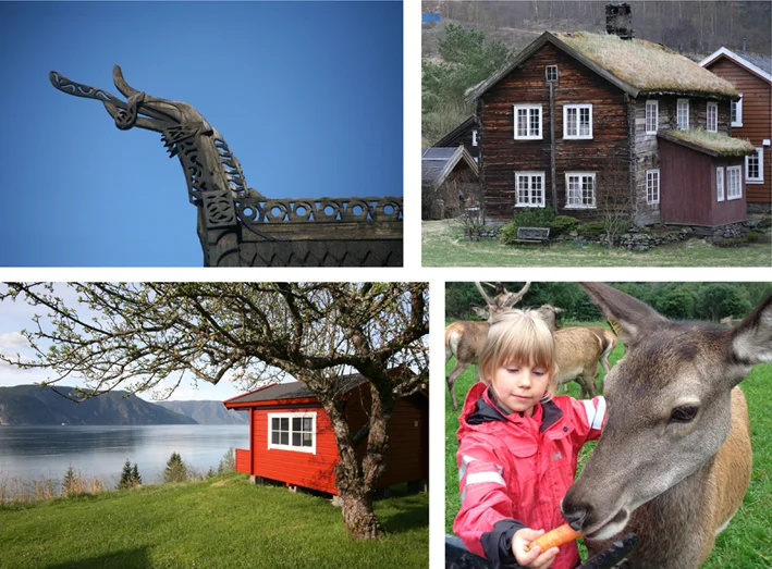 (Alle foto: Odd Helge Brugrand)