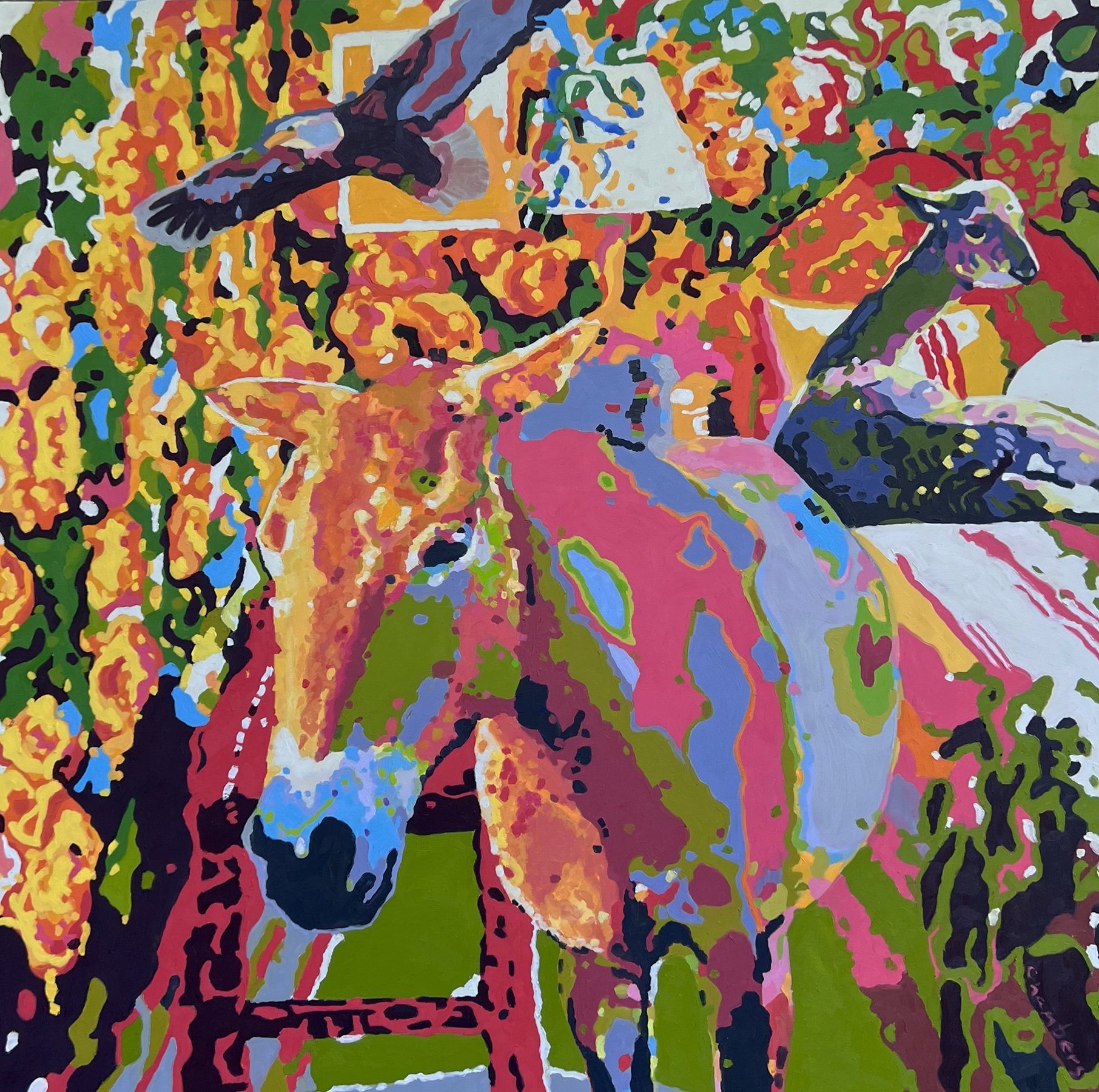 Sleep Over 48 x 48 x 2" Oil on Canvas
