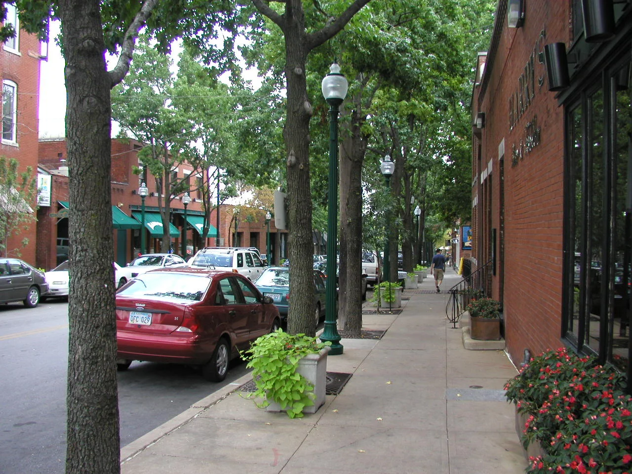 A master plan behind covering the Path to Prosperity in shade: Incorporating street trees into the urban design of neighborhoods