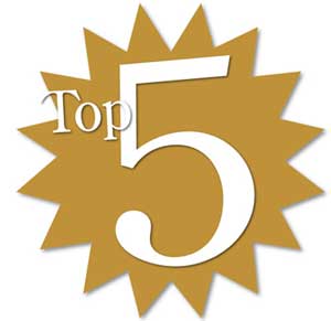 My top 5 blog posts of 2013