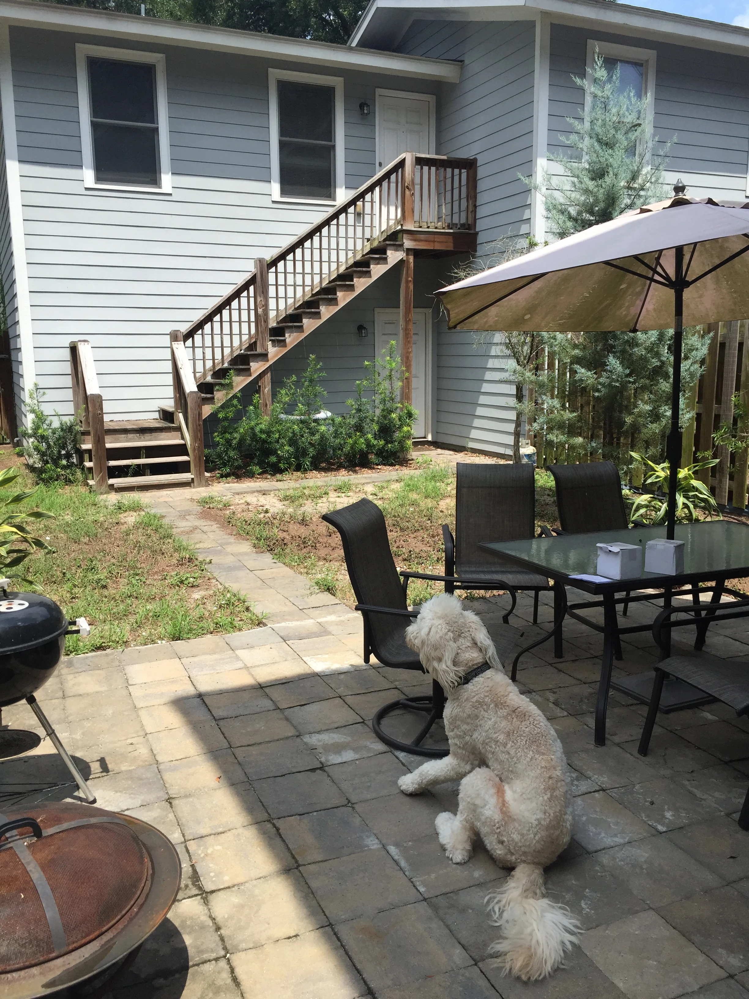 You can see the carriage house here behind our current house. It's a second floor apartment, over our garage. This is pre-yard renewal; trust me, it looks much better now.