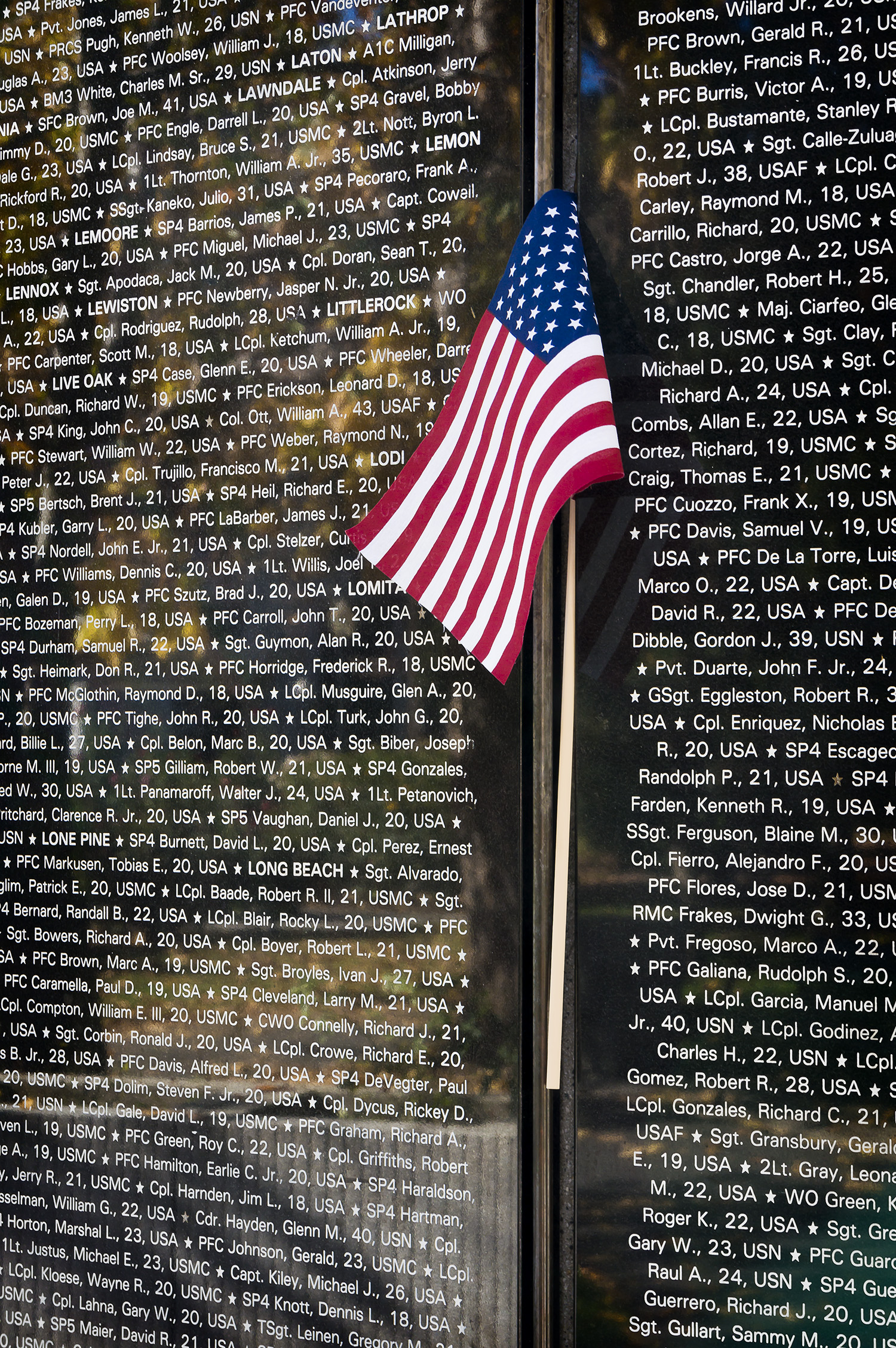 Vietnam Memorial, Capitol Park