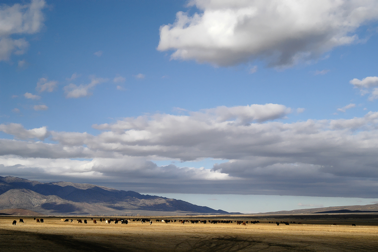 Antelope Valley 1