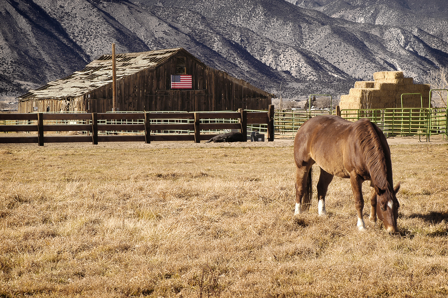 Barn with Flag, Smith Valley, Nevada
