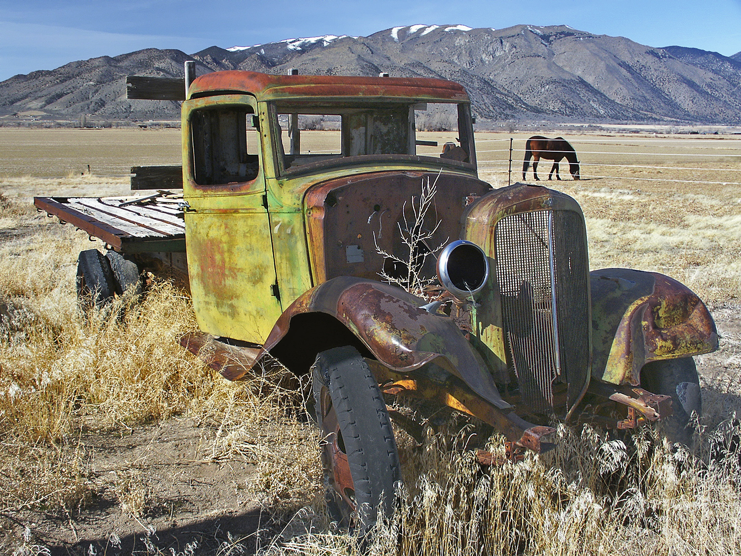 Old Truck and Horse, Smith Valley, Nevada