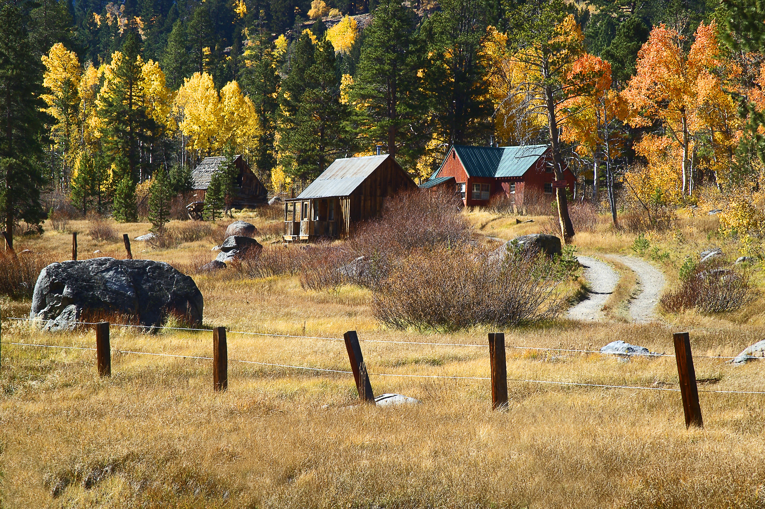 Cabins and Barn, Hwy 88 East of Carson Pass