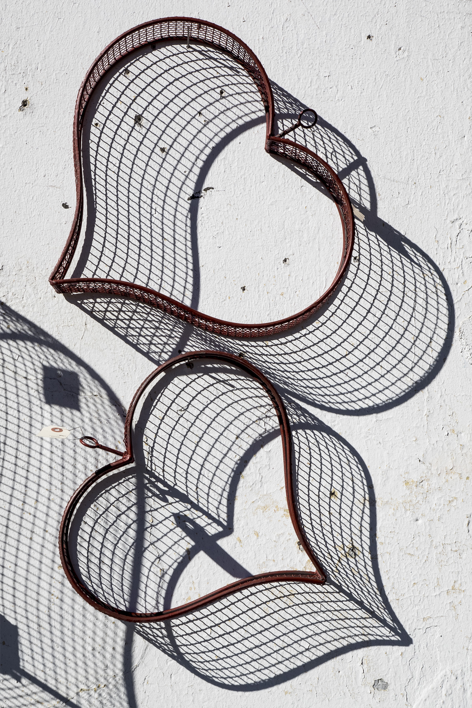 Wirework and Shadows, Bellflower, Amador City