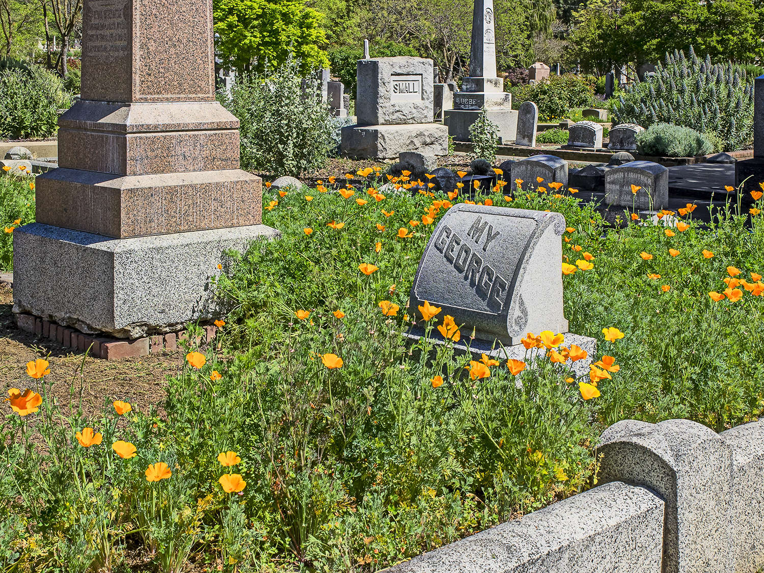 Old City Cemetery 6