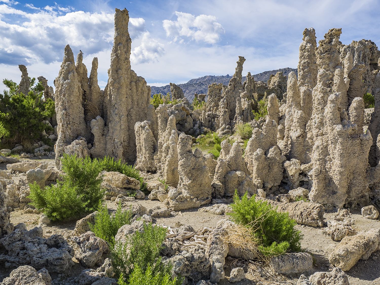 Tufa Towers, Mono Lake South Shore