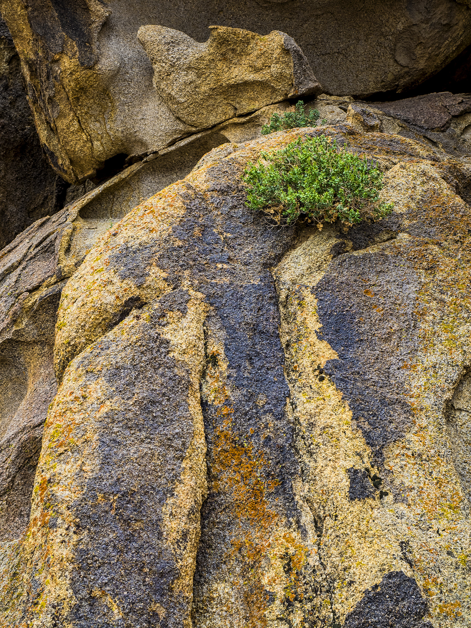 Rock Forms, Alabama Hills, 4