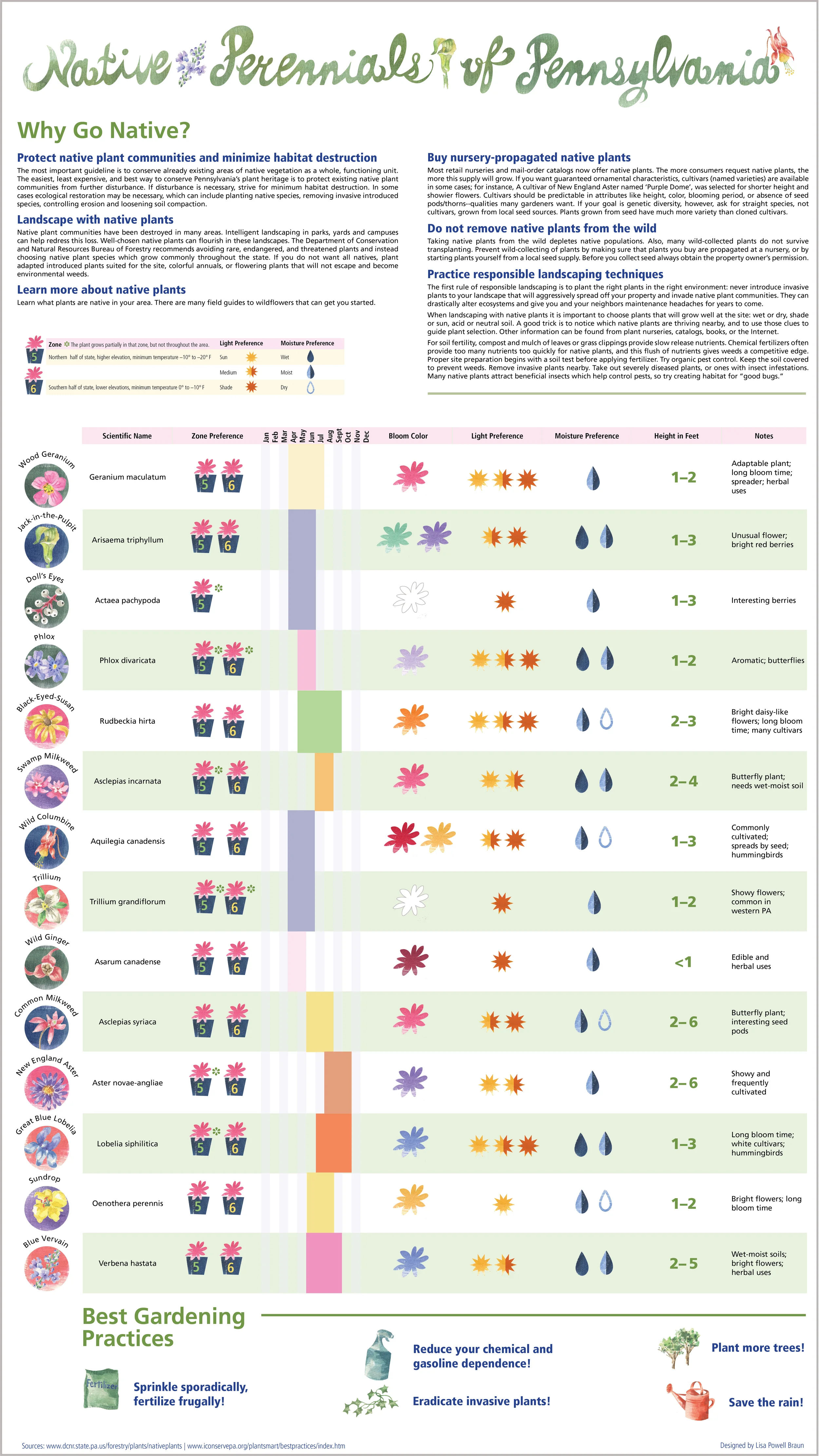 Infograph