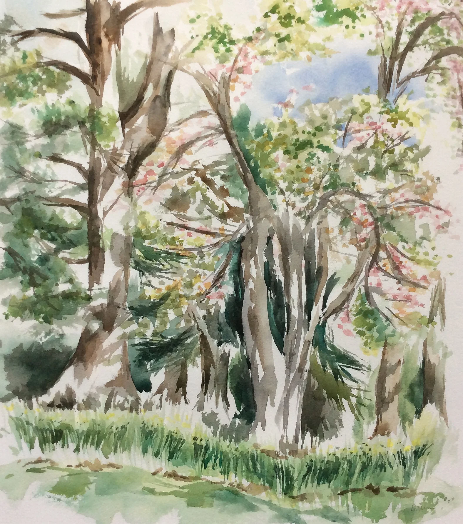 Spring Trees 15.5 x 17.5" Watercolor