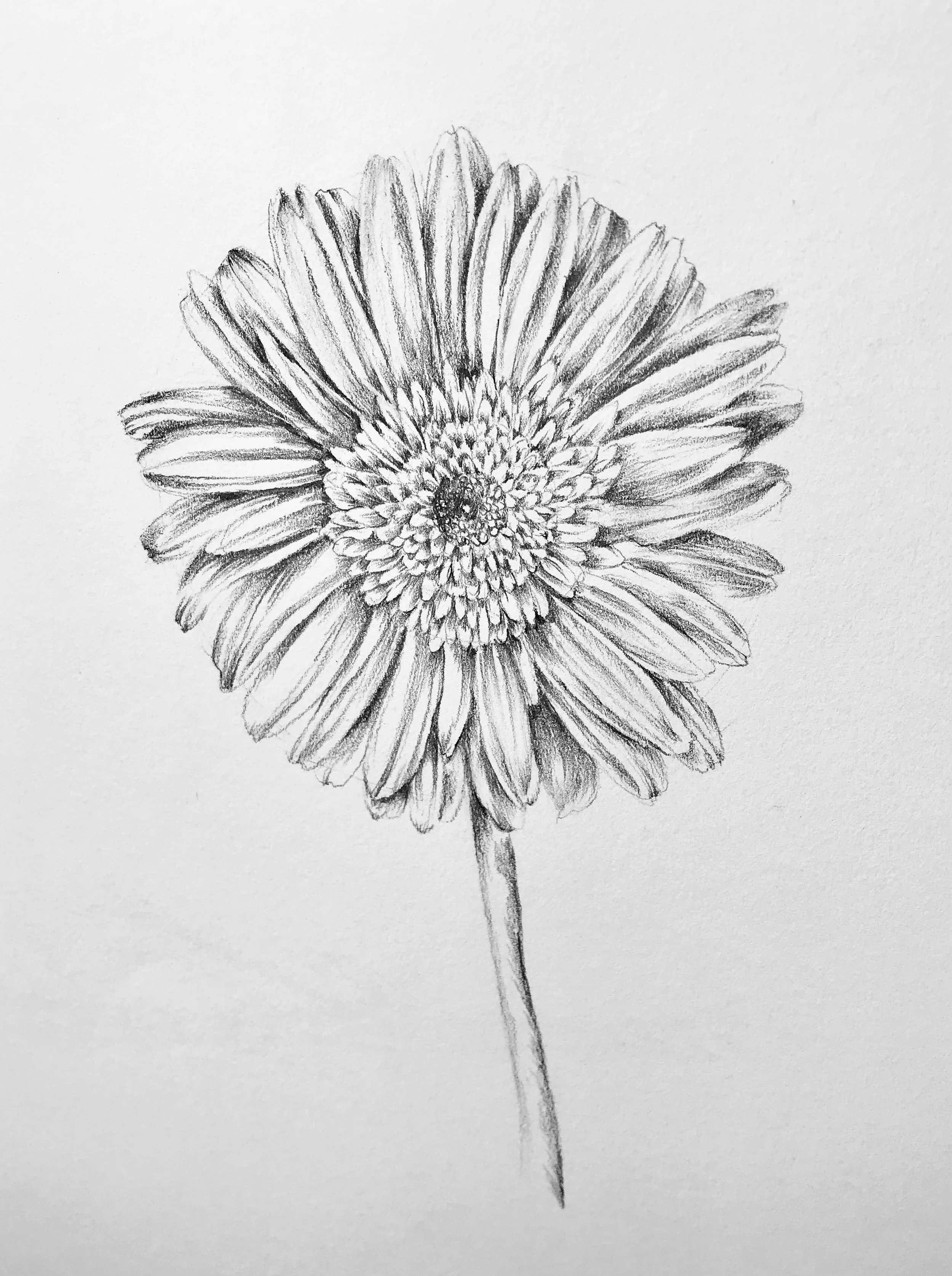 sketch13.jpg