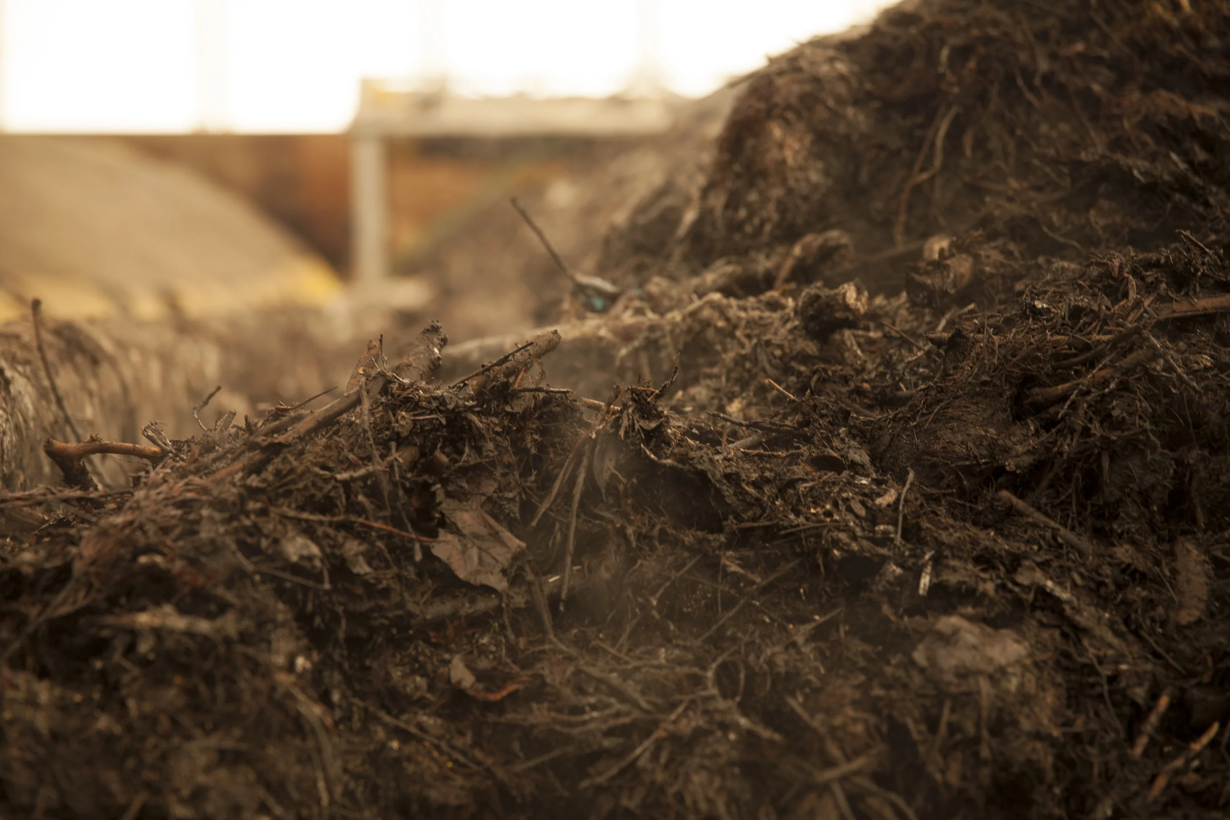 Net Zero Waste Abbotsford Organic Waste Steam.jpg