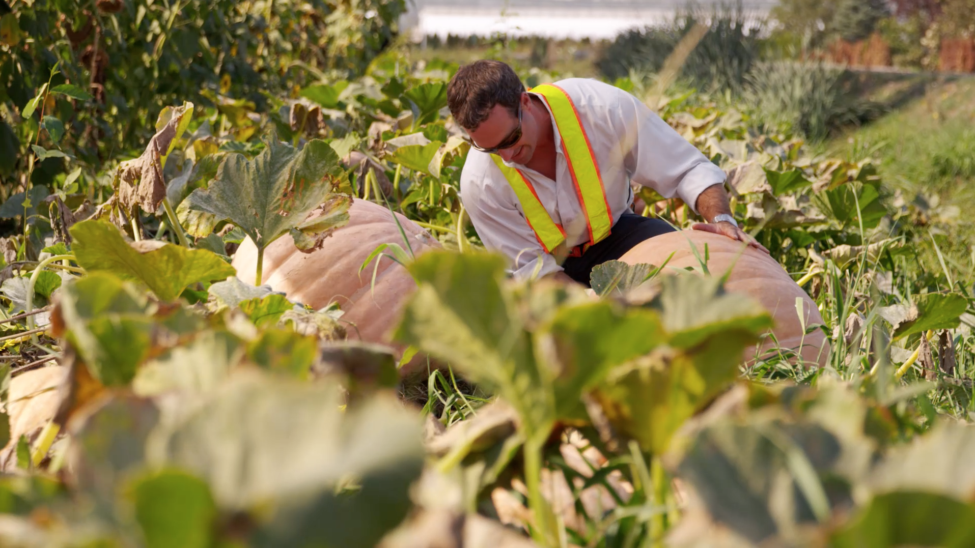 Net Zero Waste - Dirt grows food.png