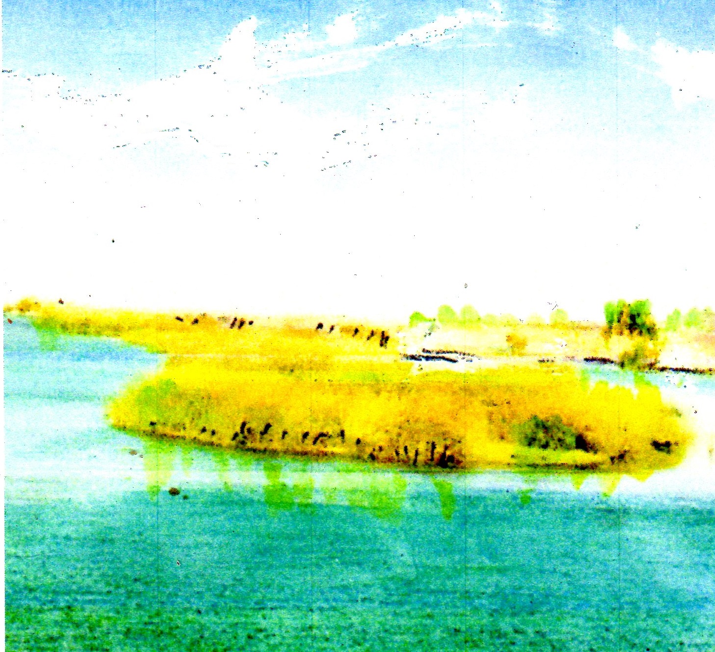 painting by Jampa Dorje