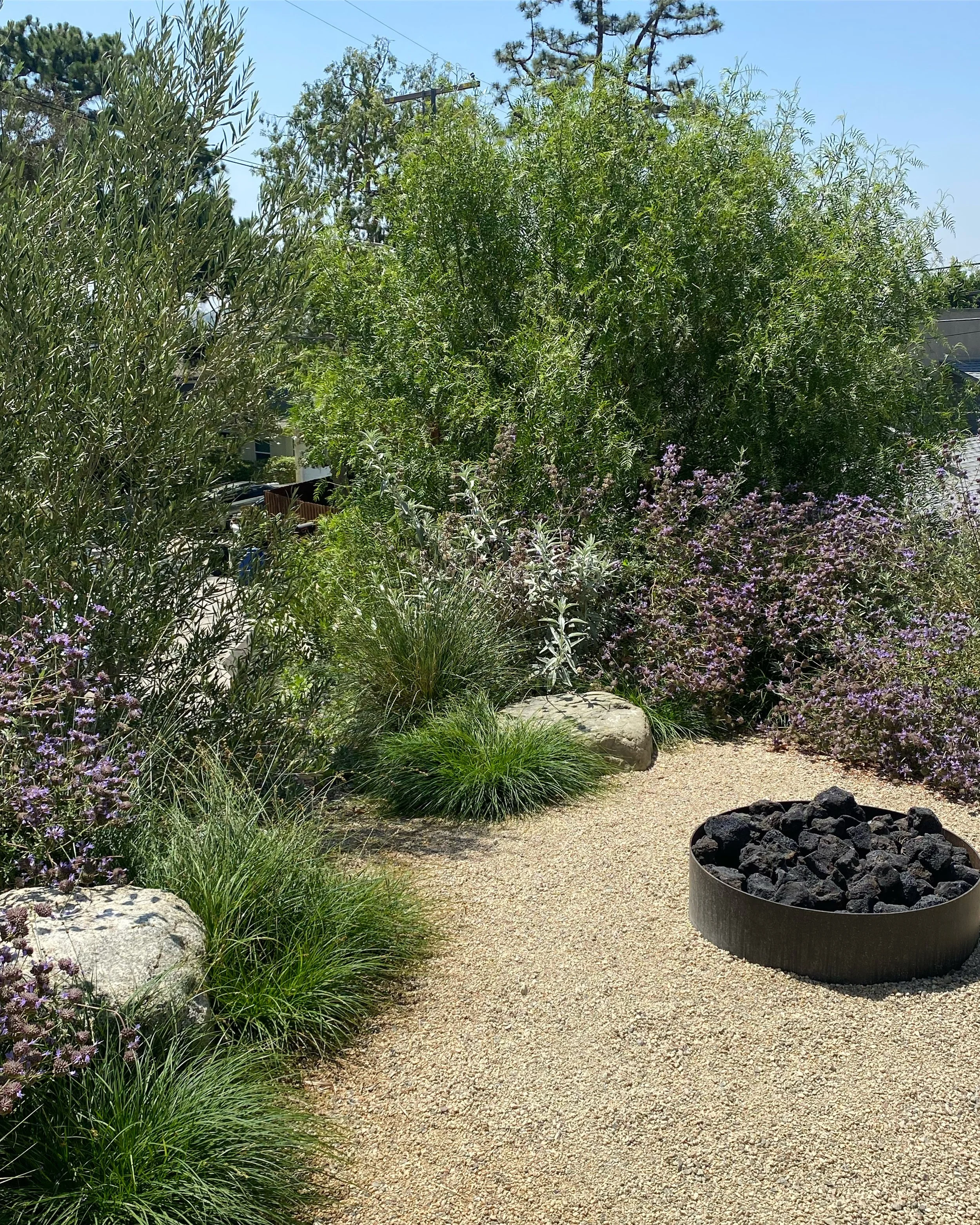 45C5D895-0393-453F-B67B-C8009CDDF51D 2.jpeg