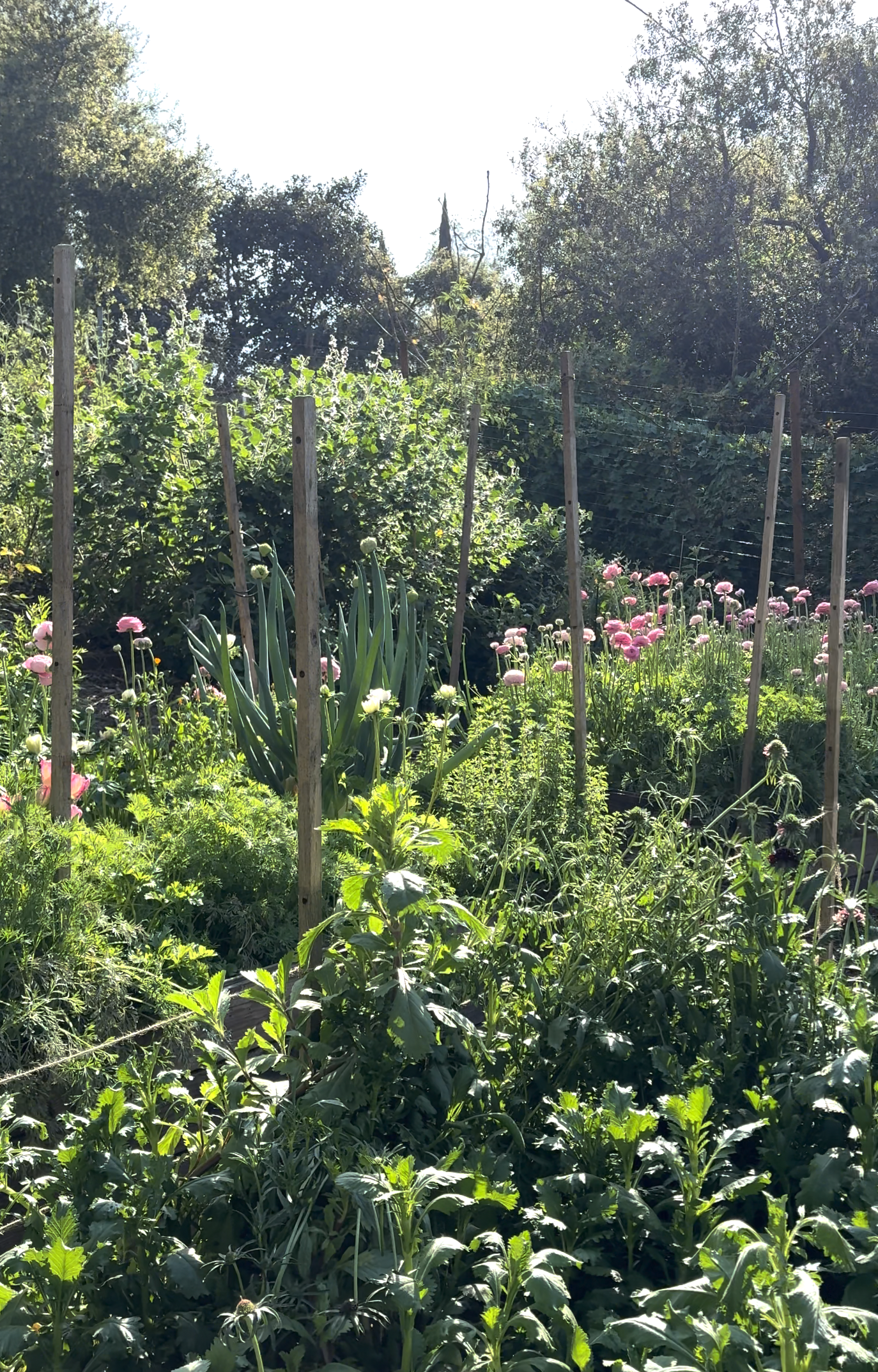 Screen Shot 2025-12-02 at 7.34.11 PM.png