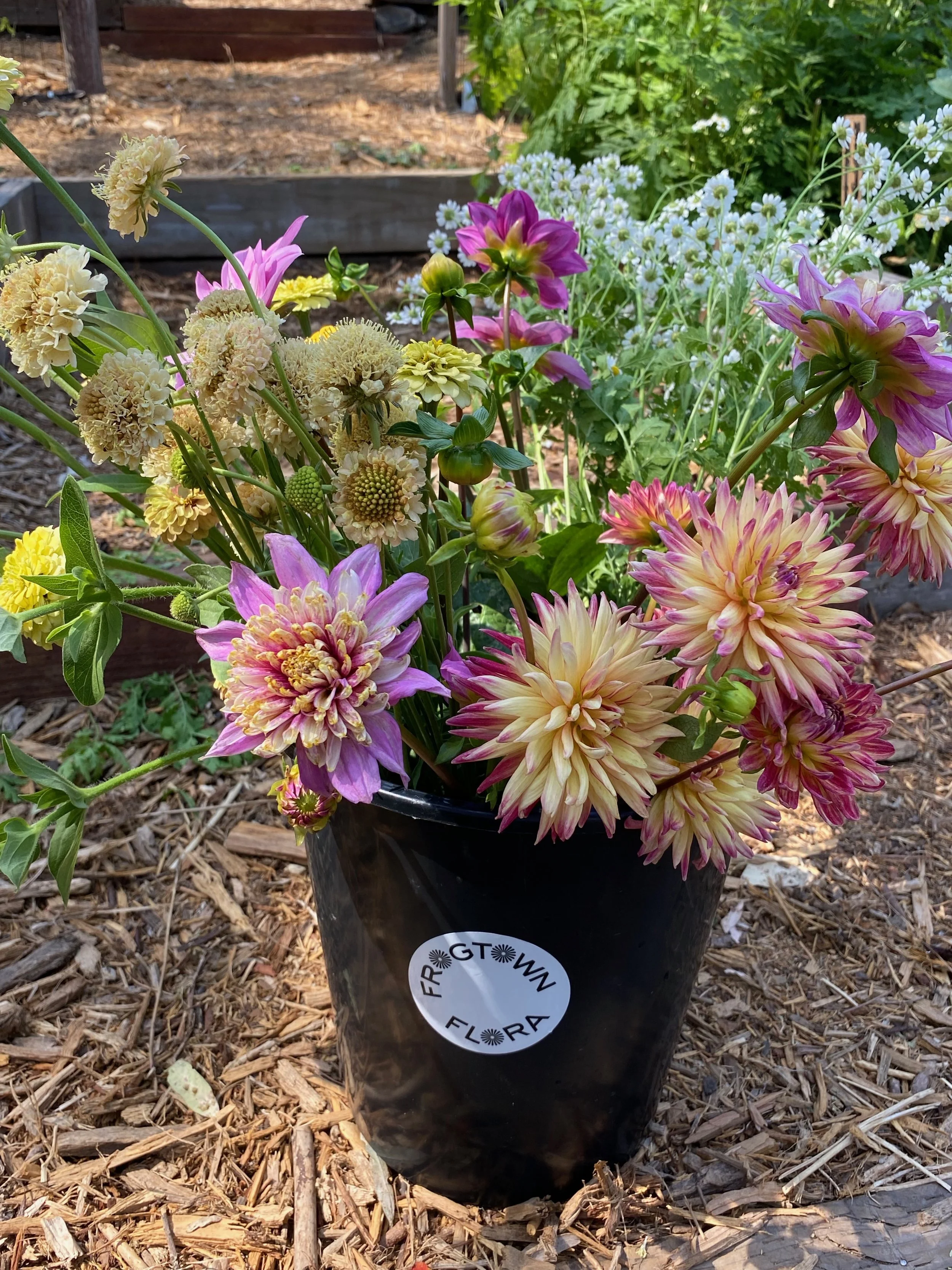 BUCKET OF BLOOMS