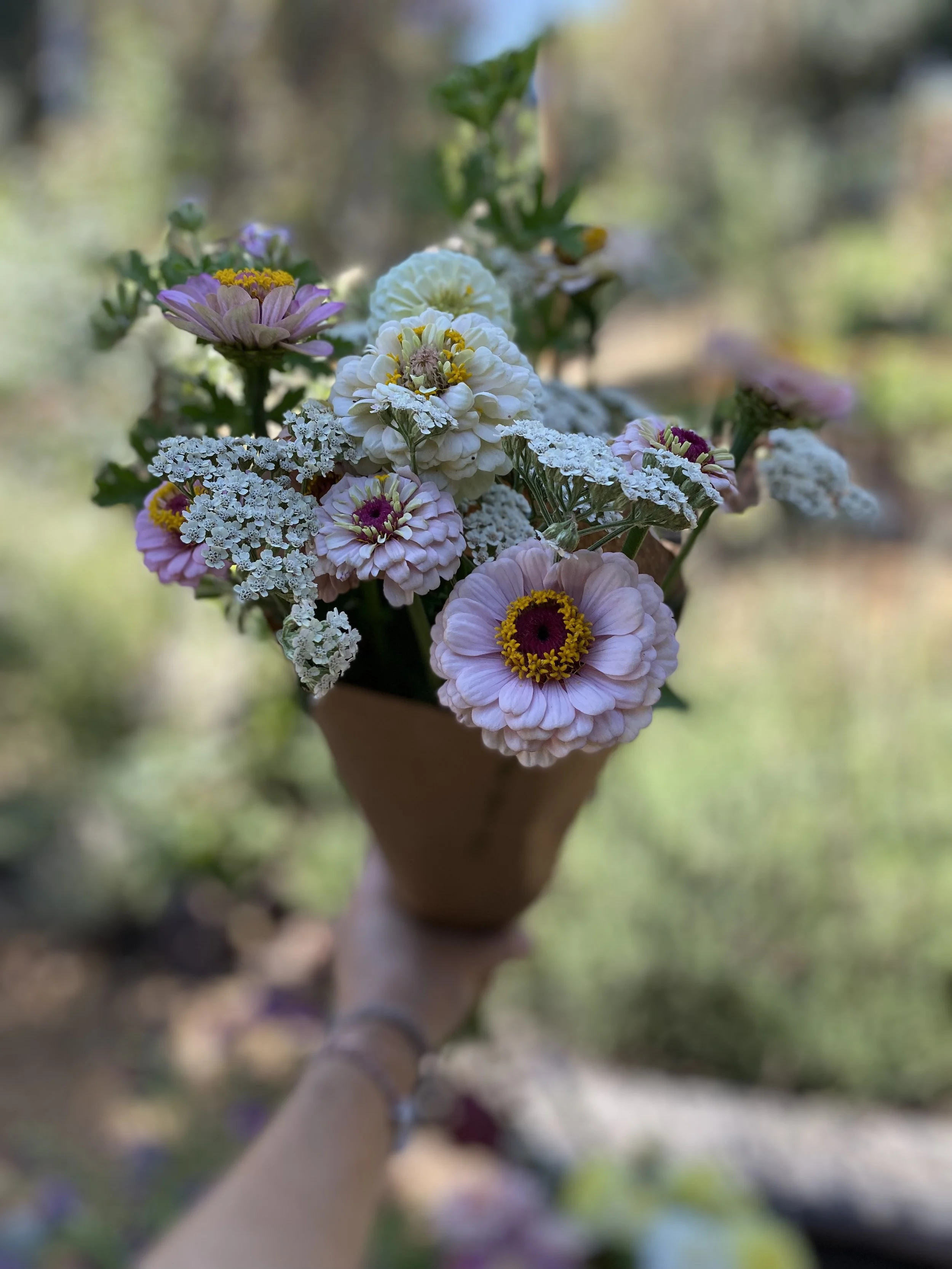IMG_9554.jpeg