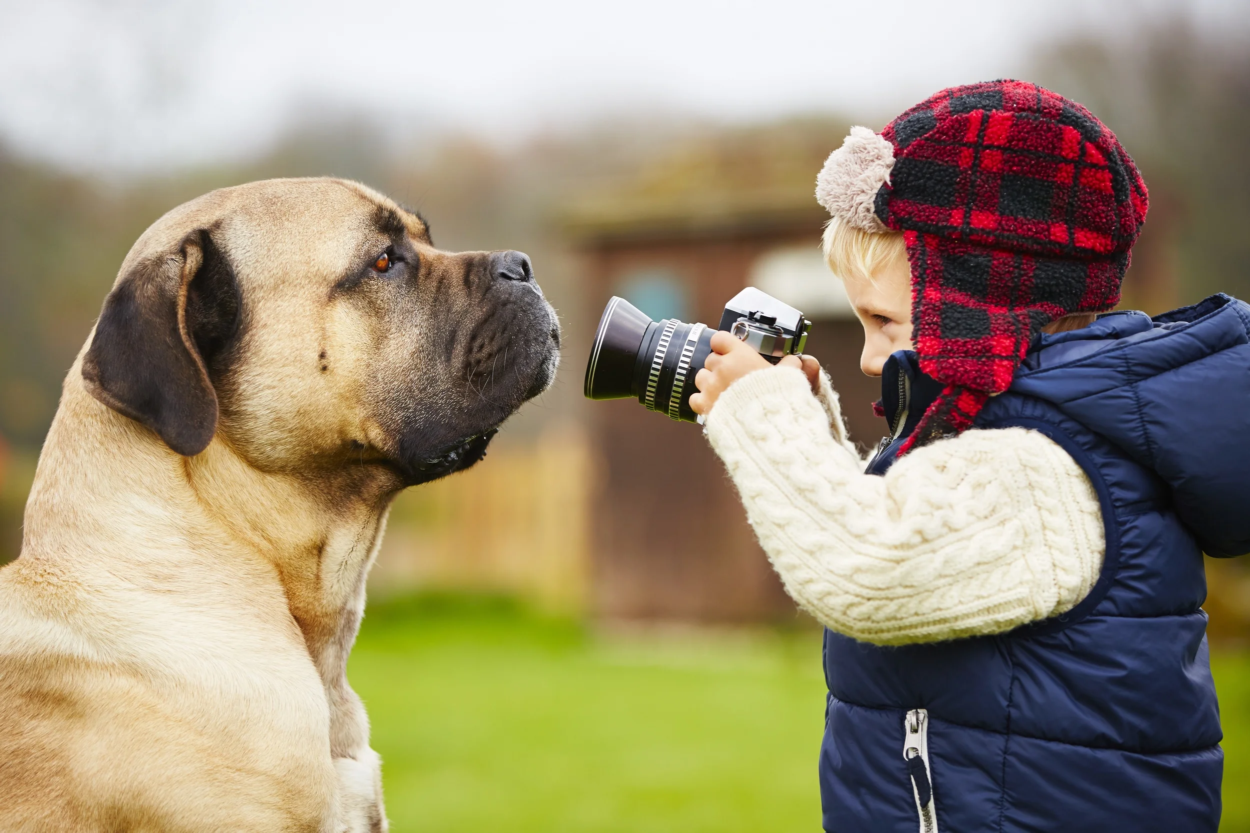 You'll think twice about taking your dog's photo after reading this...