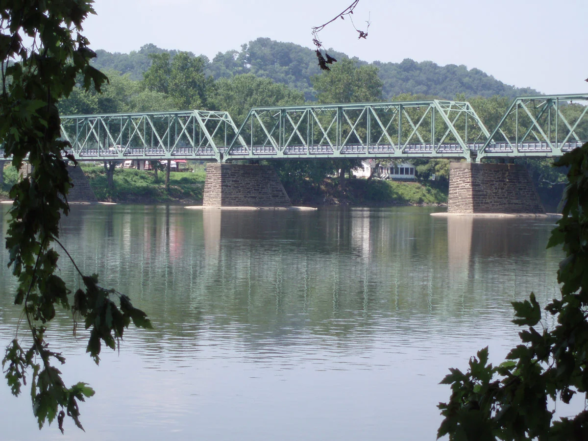A Dog's Day in Frenchtown