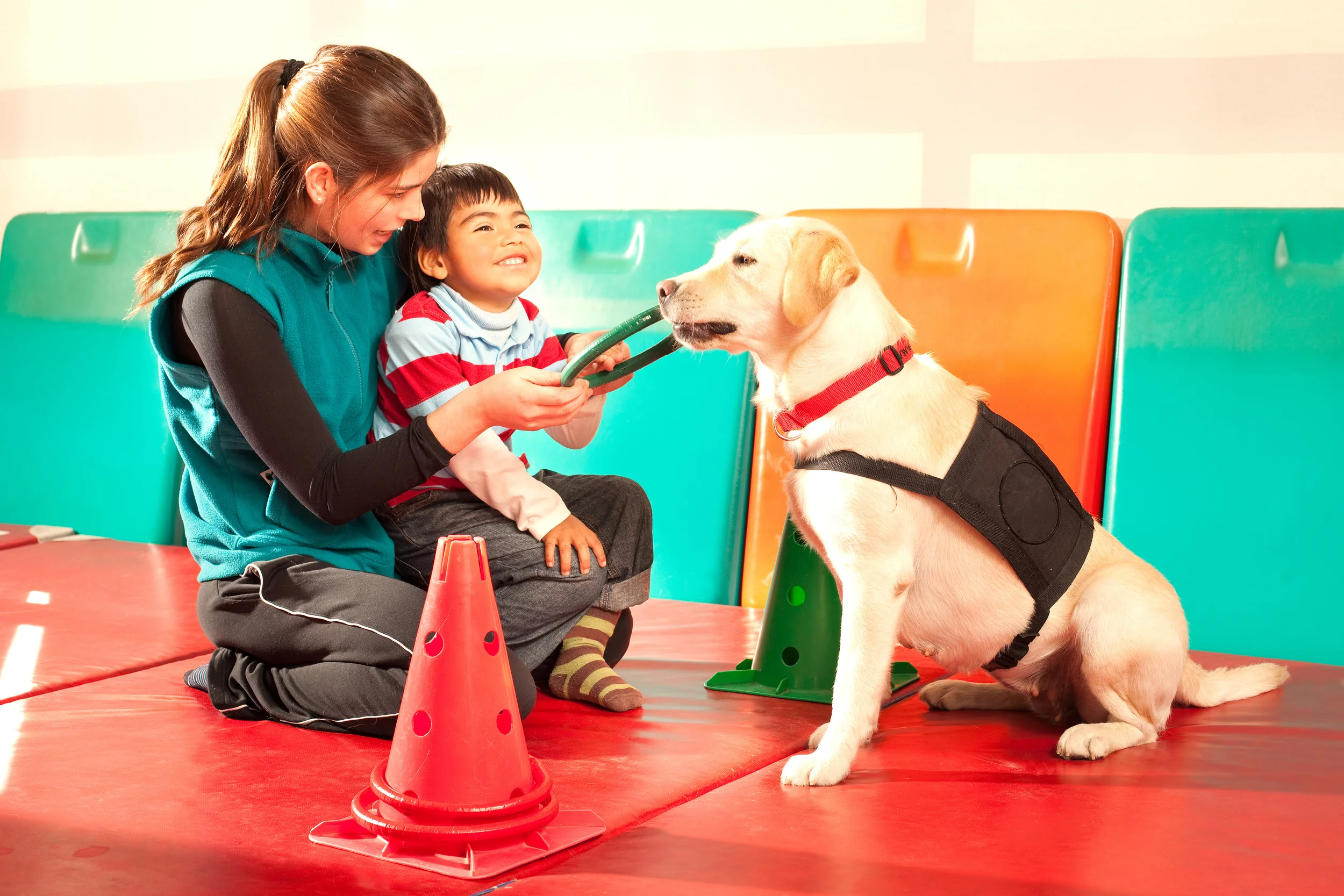 6 Signs Your Dog is a Good Therapy Dog Candidate