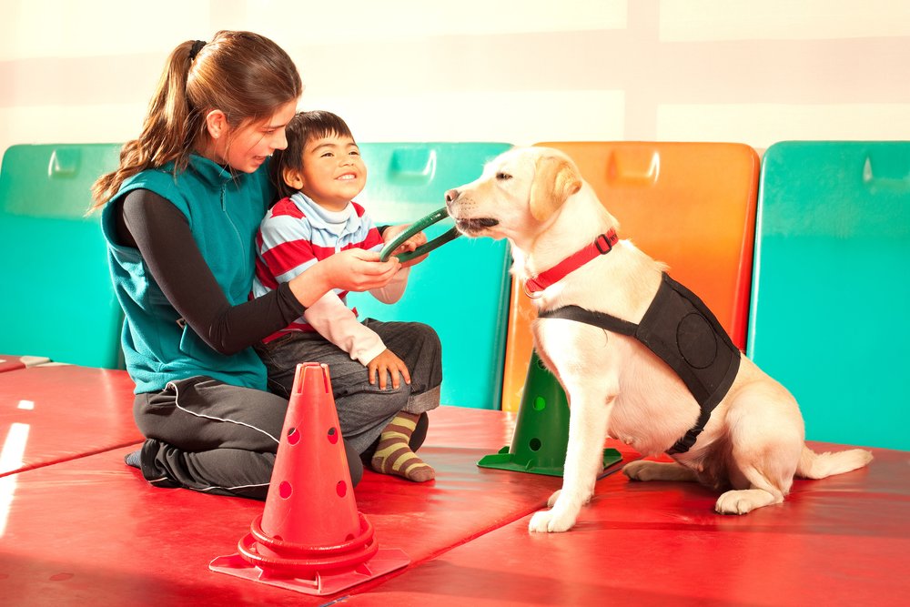How Do Therapy Dogs Work