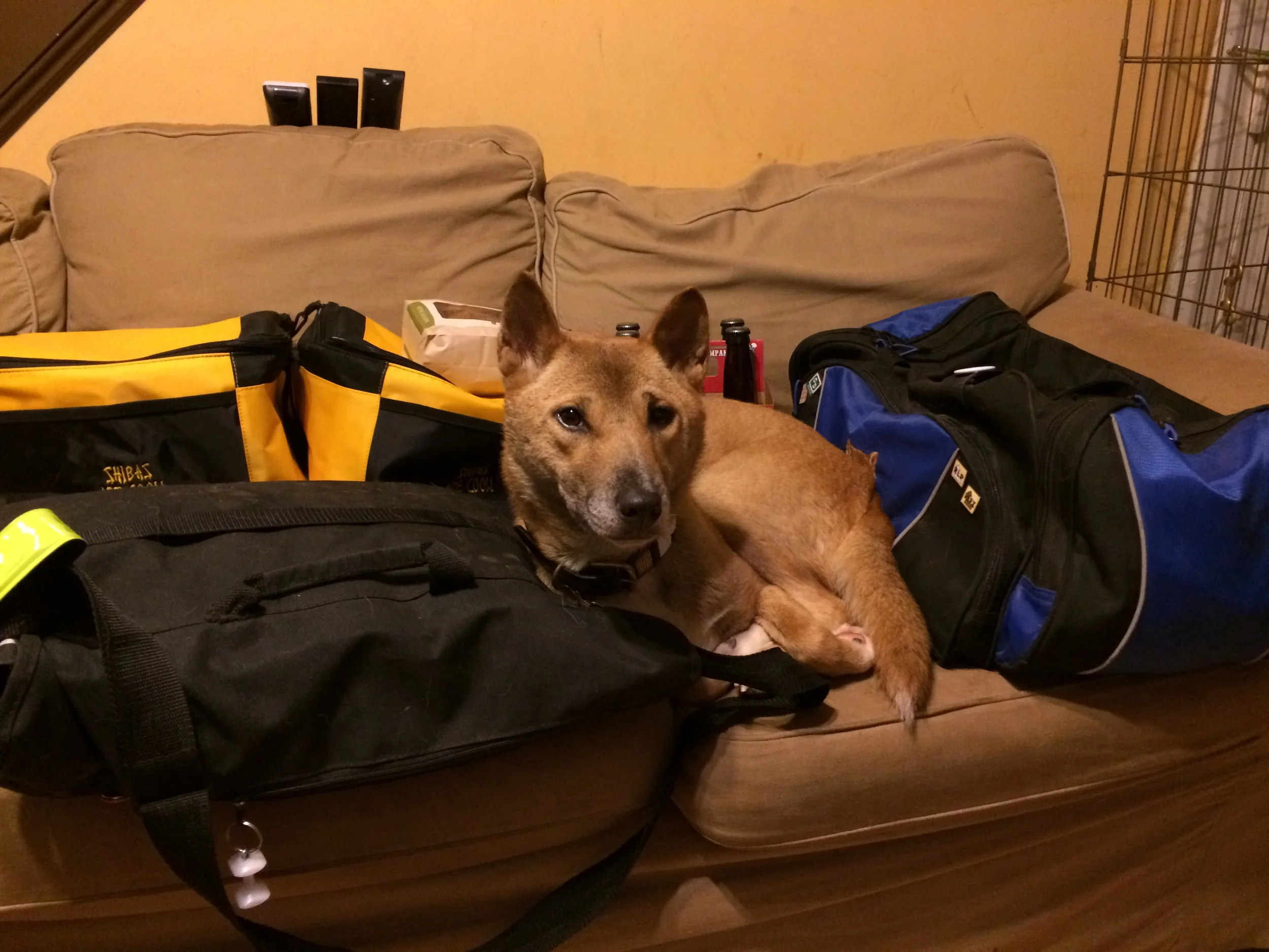 Where are we going so early? And with all this stuff??