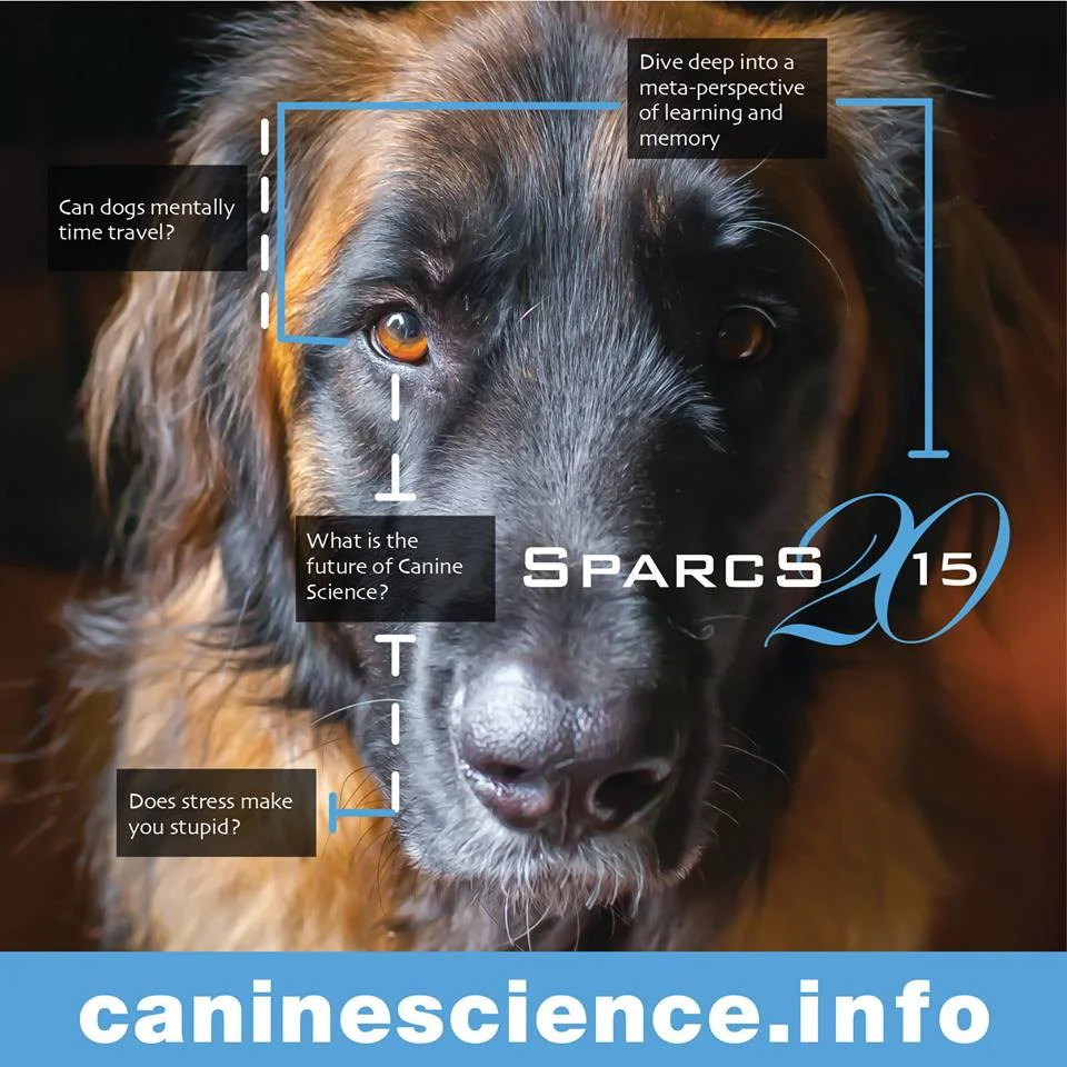 sparcs4.jpg