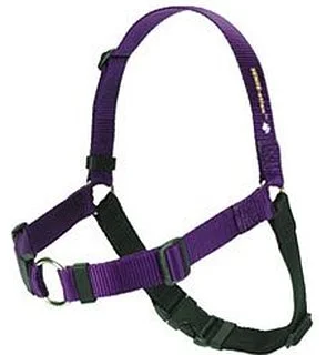 The Sensation Harness