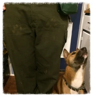 Treat Pouches: Just 'cause you can doesn't mean you should 