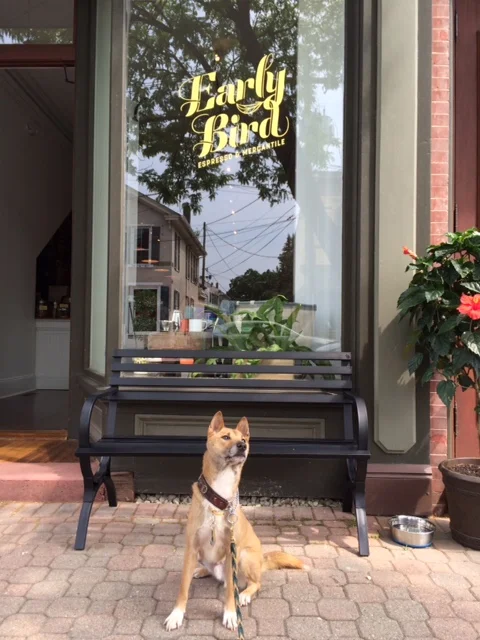 Journey loves his visits to Early Bird in Frenchtown NJ!