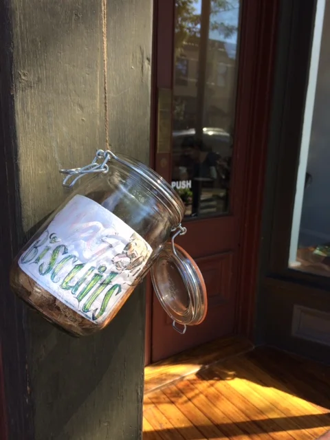 Dog Biscuits are FREE!