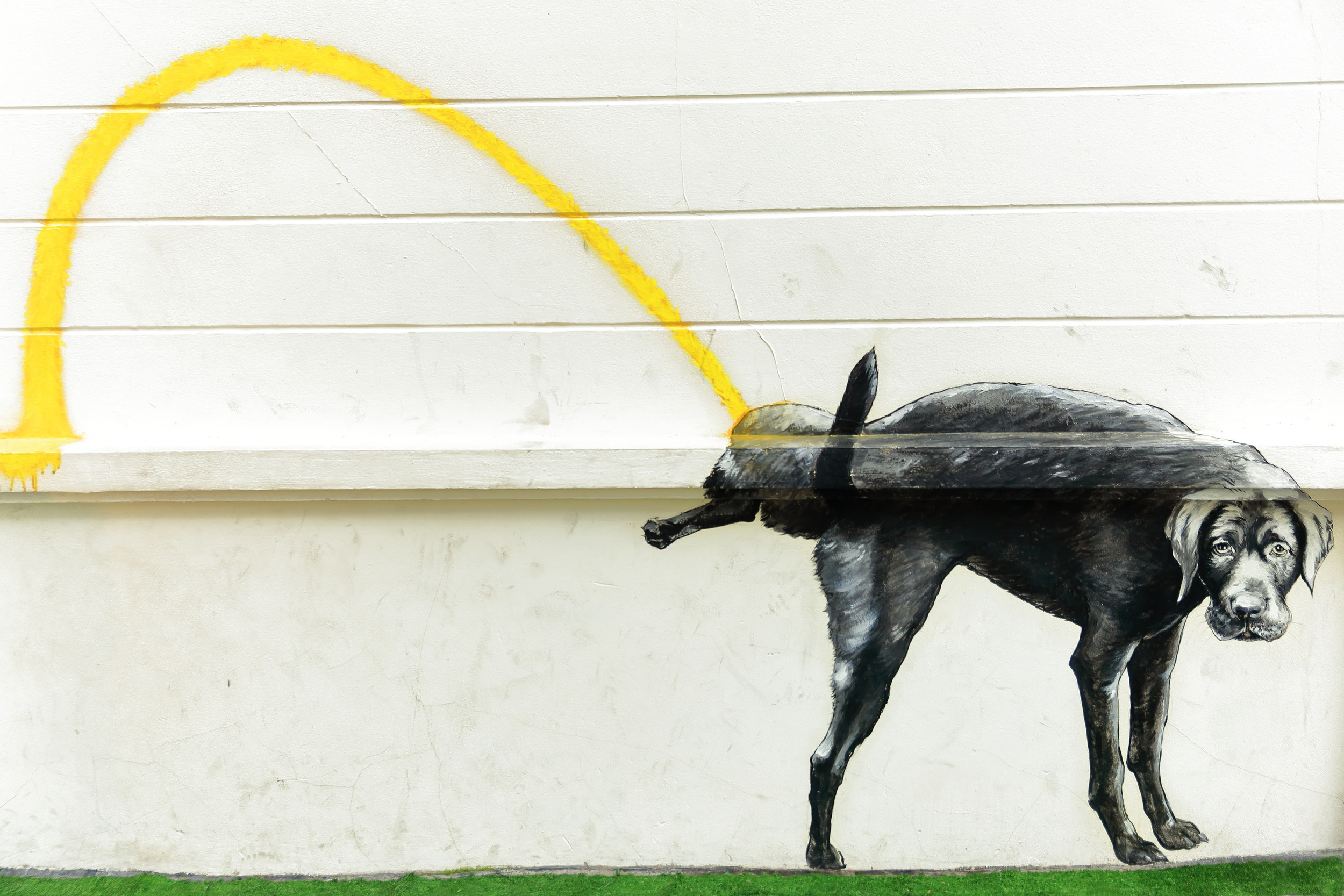 Expiration Date: Why I'm not renewing