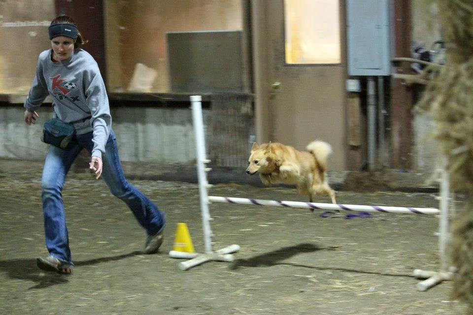 Agility is serious business!