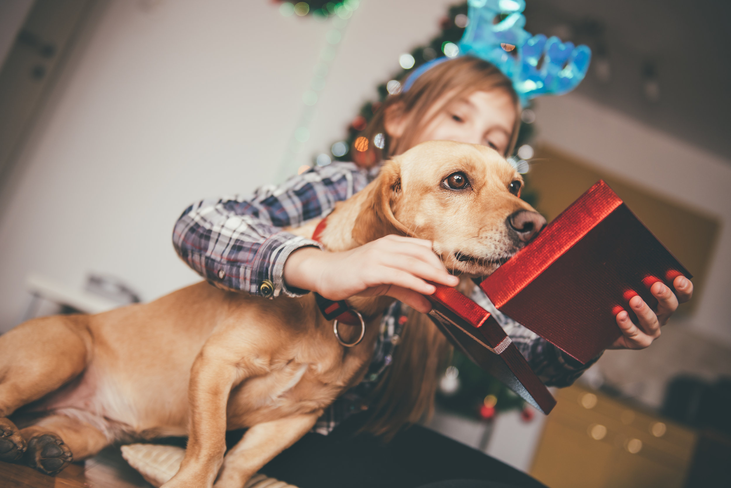 Give The Gift They Will Actually Be Grateful For