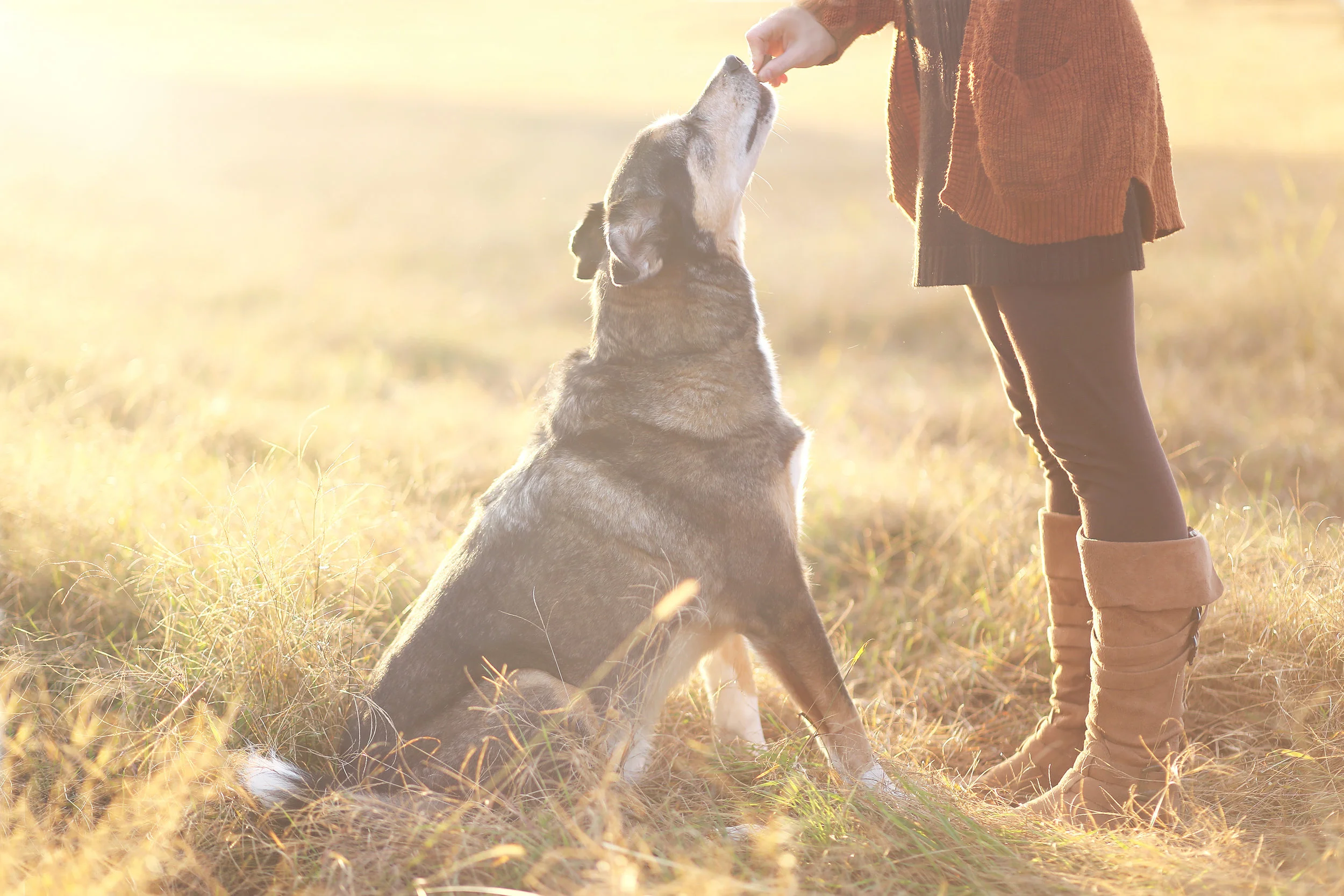 AdobeStock_124785459.jpeg
