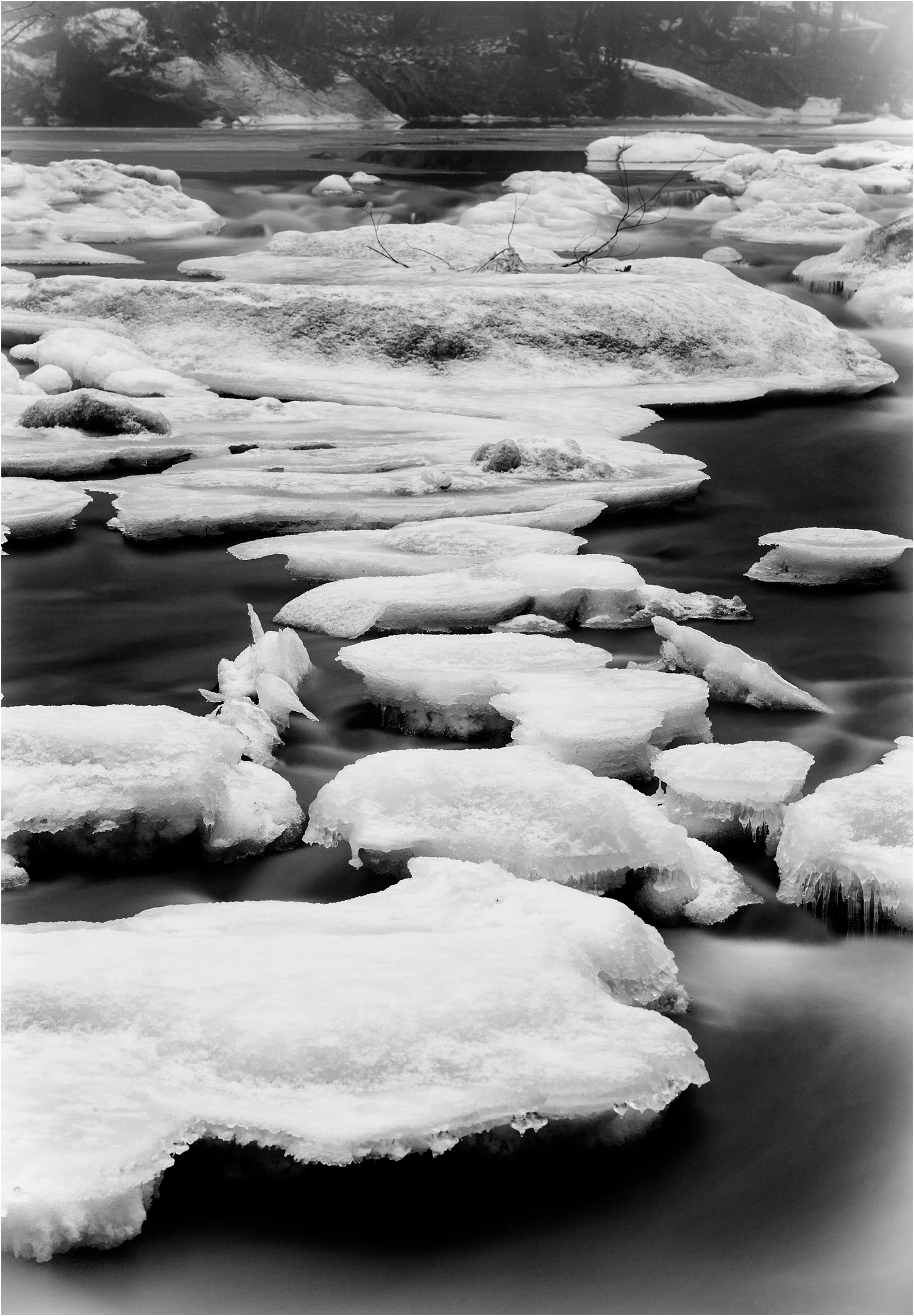 14016740_acr_bw_web.jpg