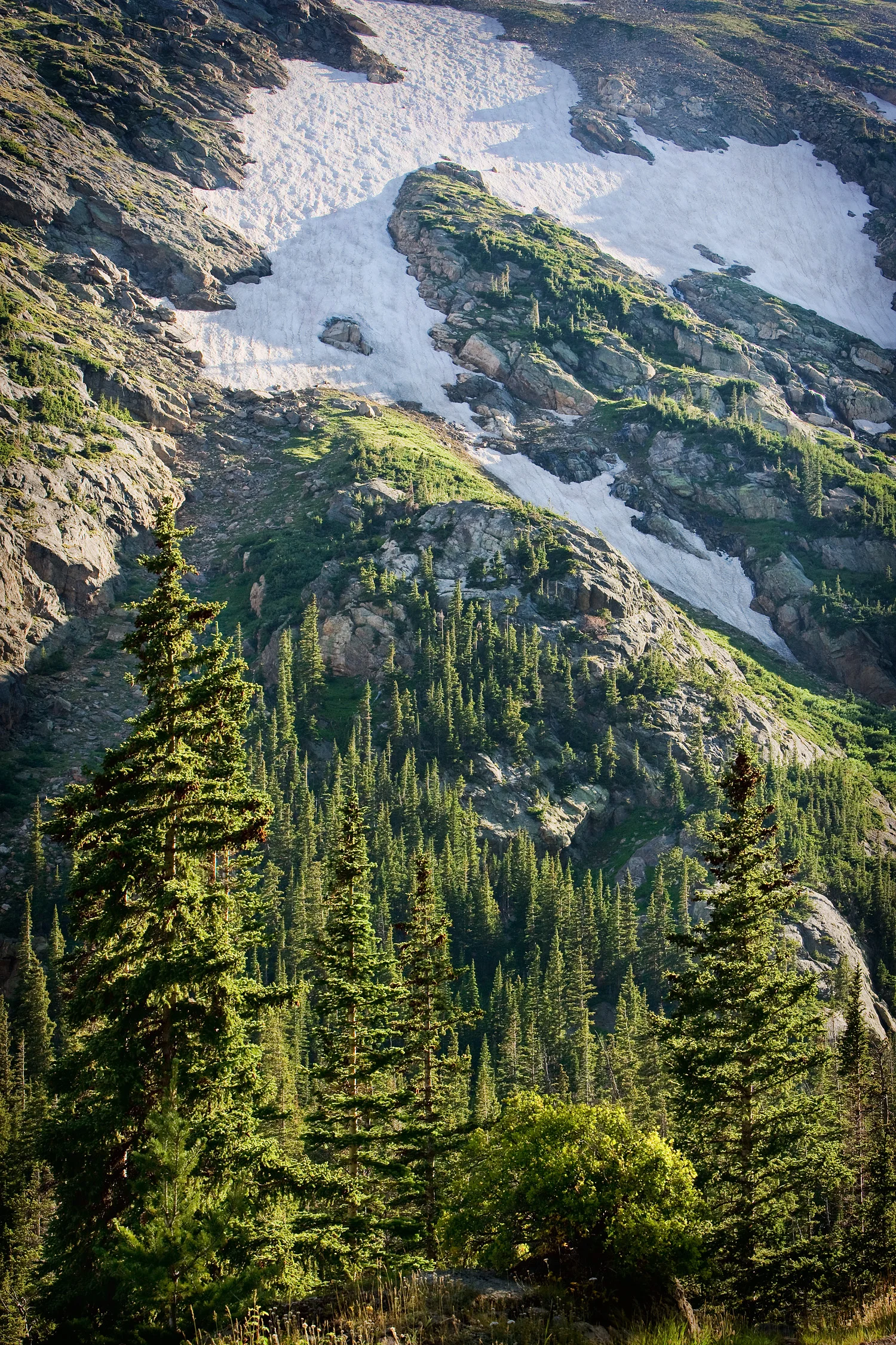 09072642_acr_web.jpg
