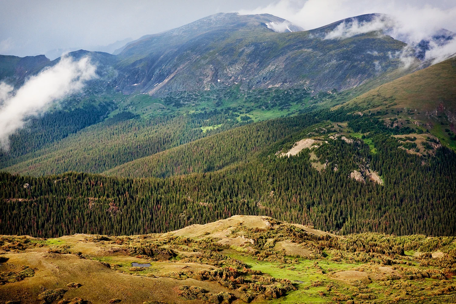 09072470_acr_web.jpg