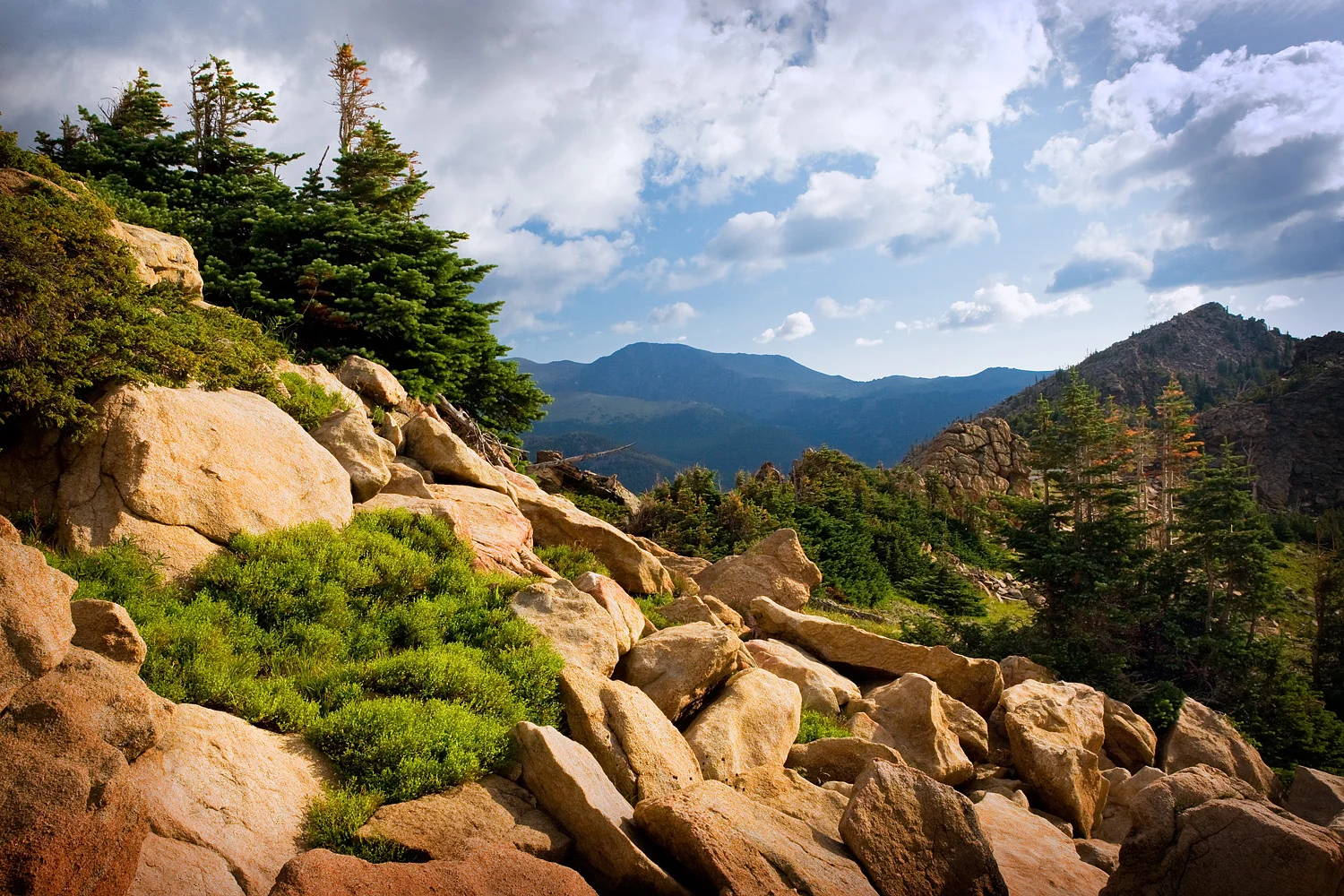 09072365_acr_web.jpg