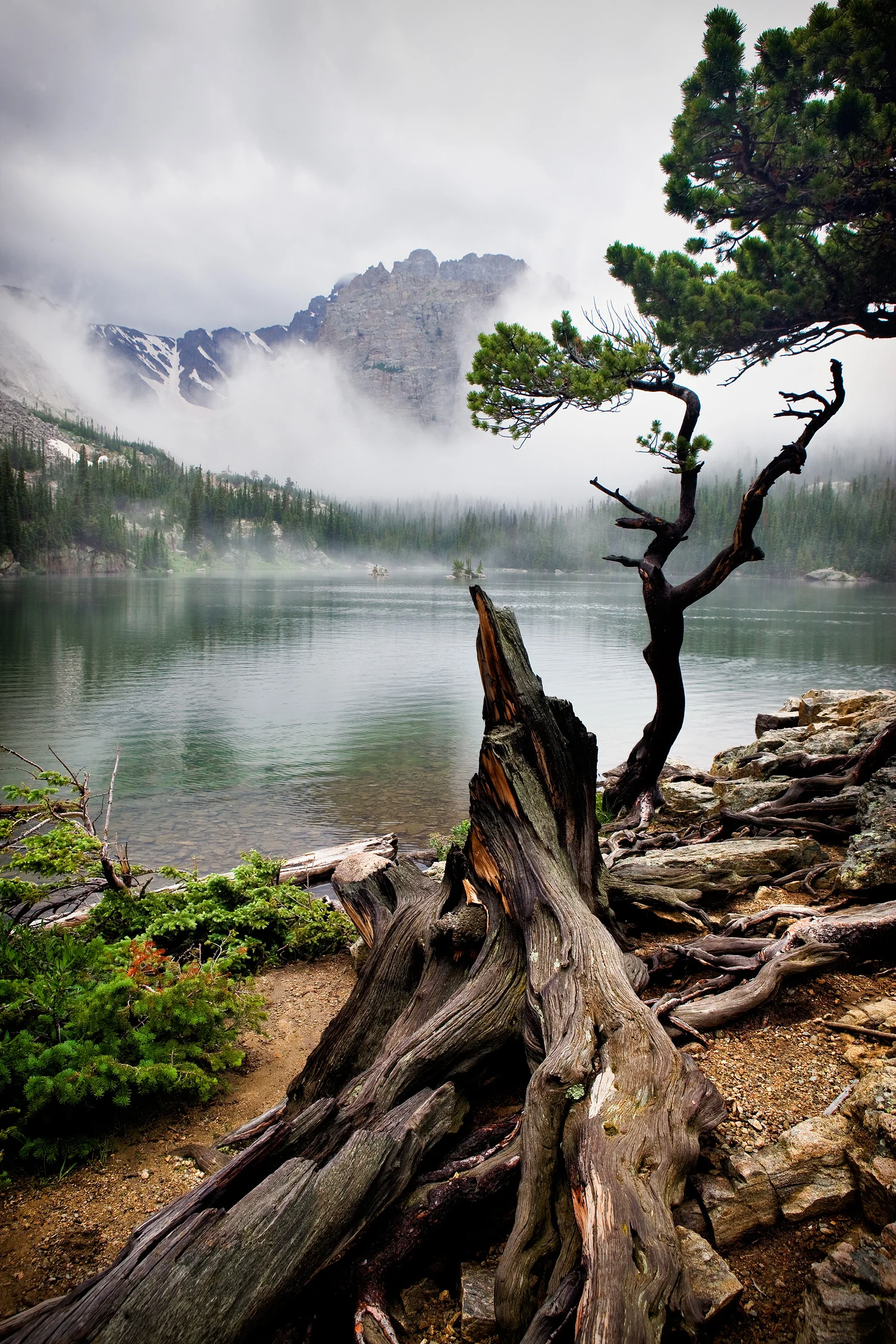 09072172_acr_ALT2_web.jpg