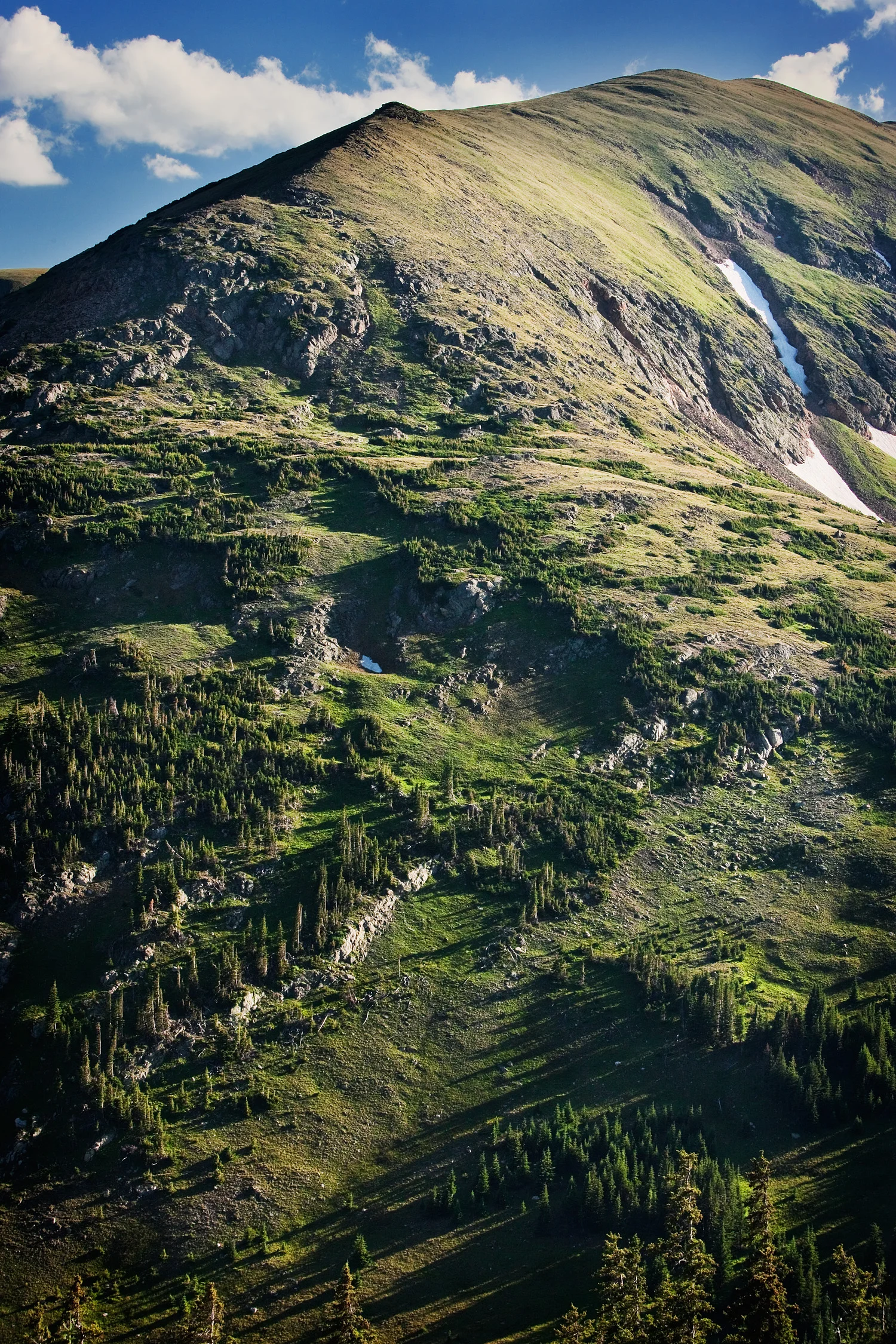 09072645_acr_web.jpg