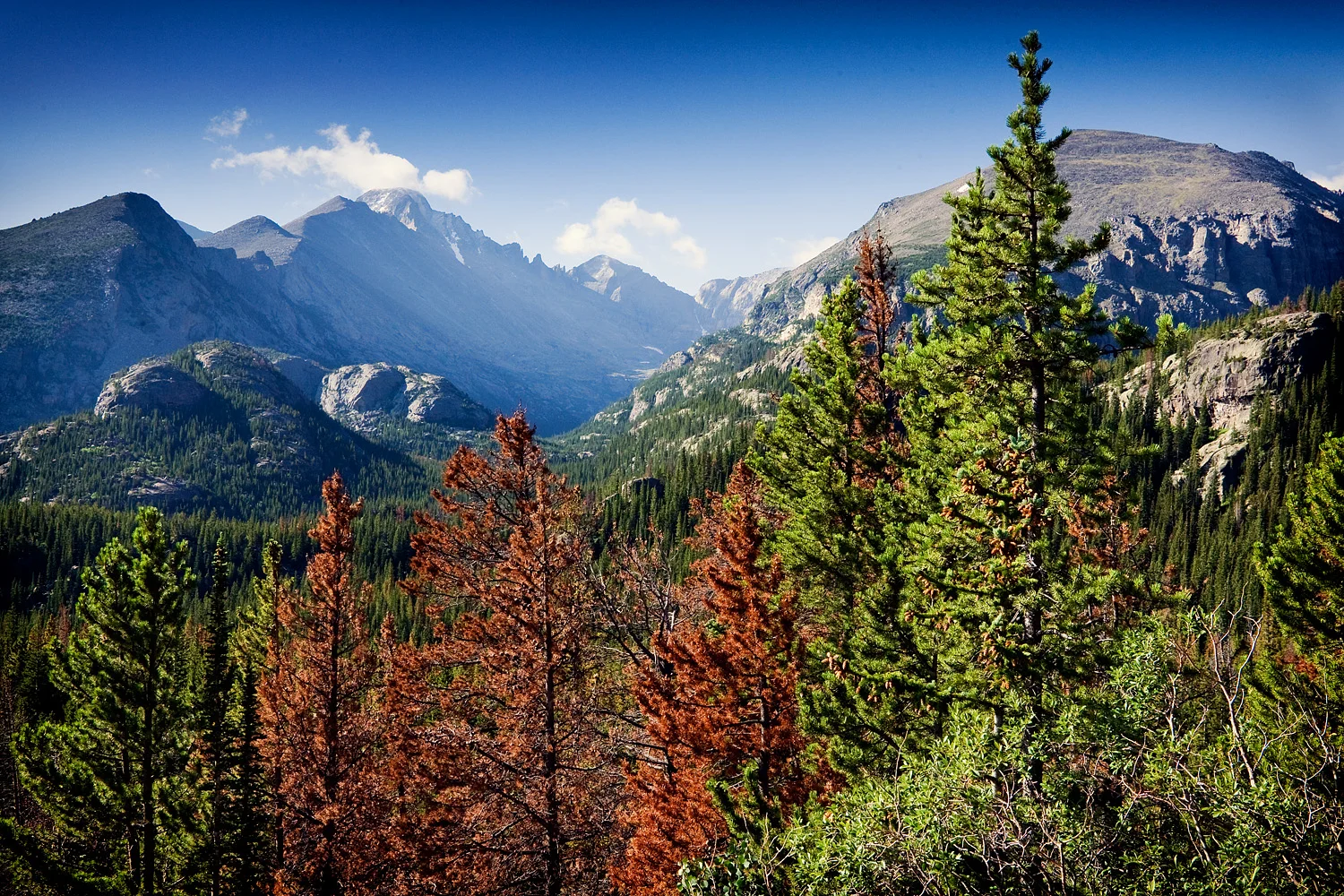 09072563_acr_web.jpg