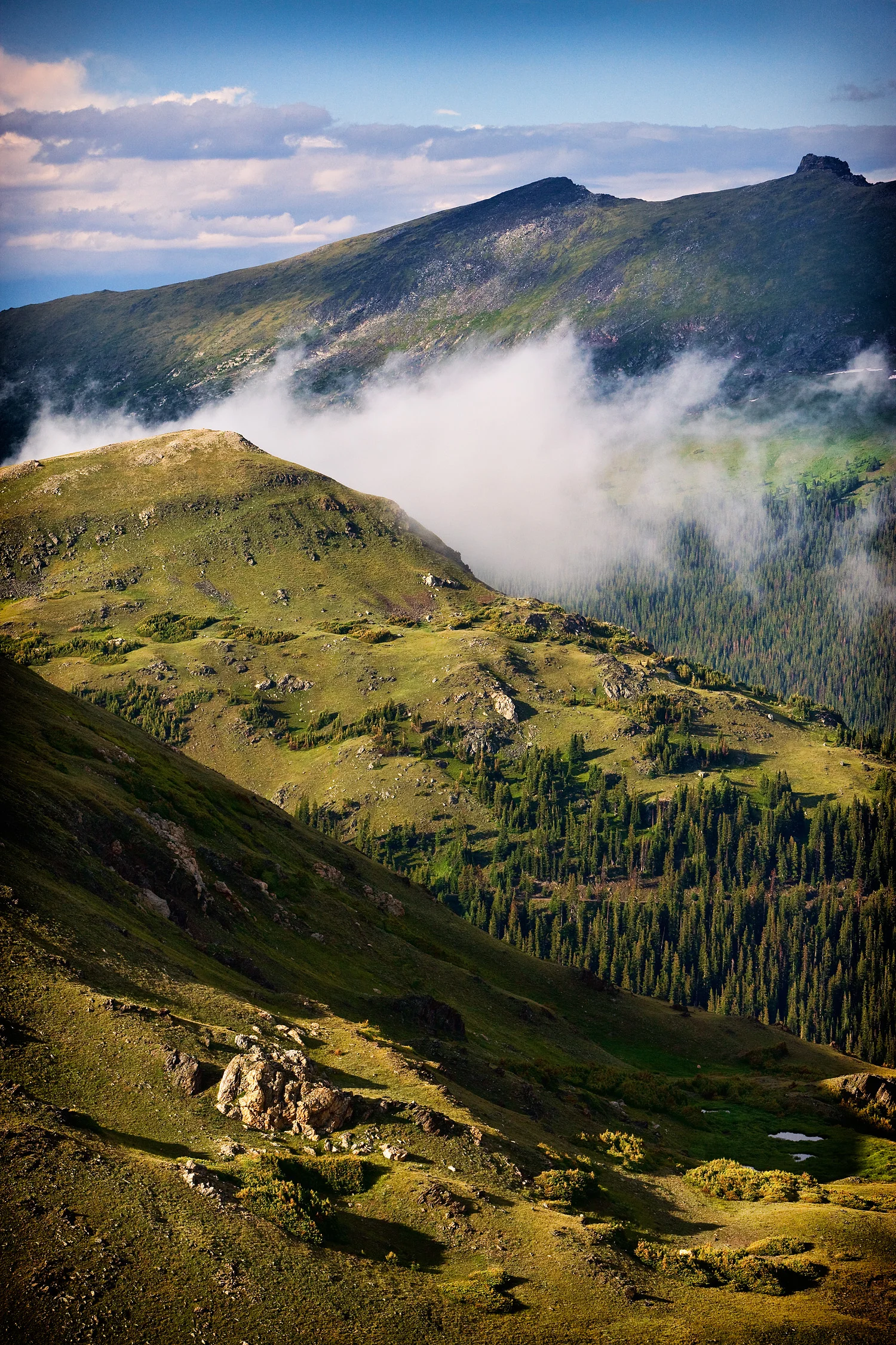 09072477_acr_web.jpg